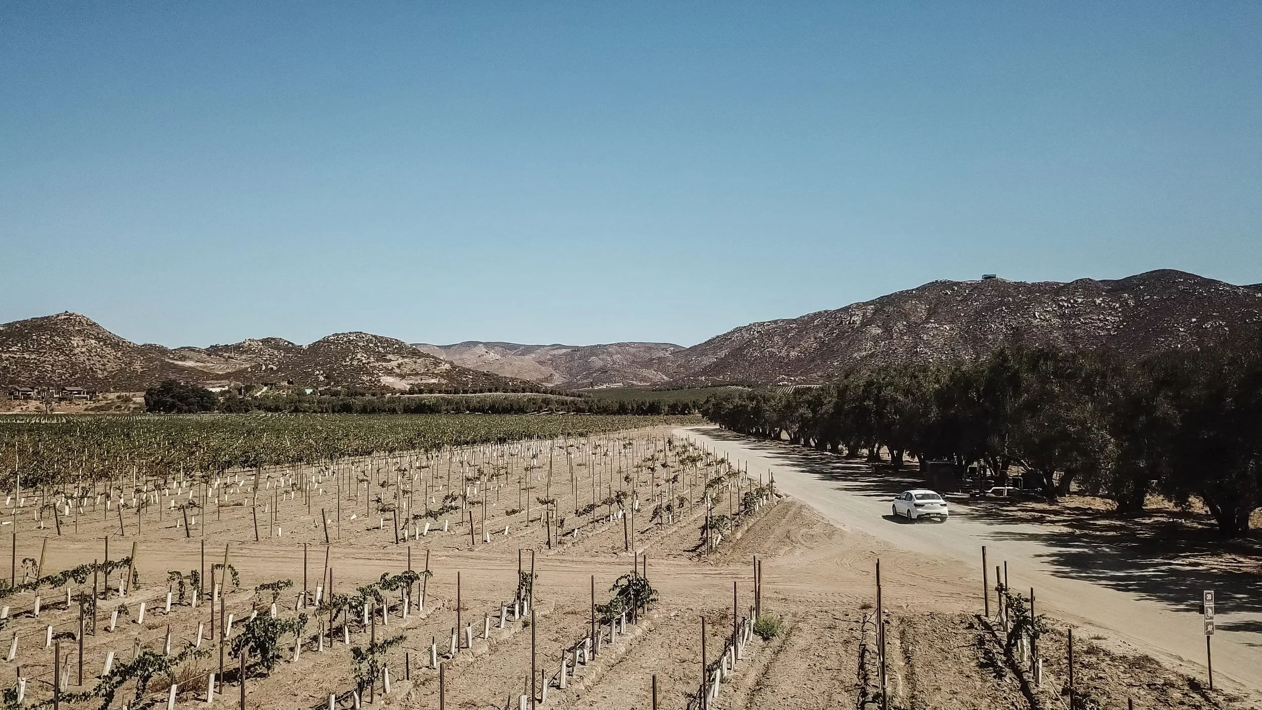Mex_Rentacar_ALTA-15.jpg