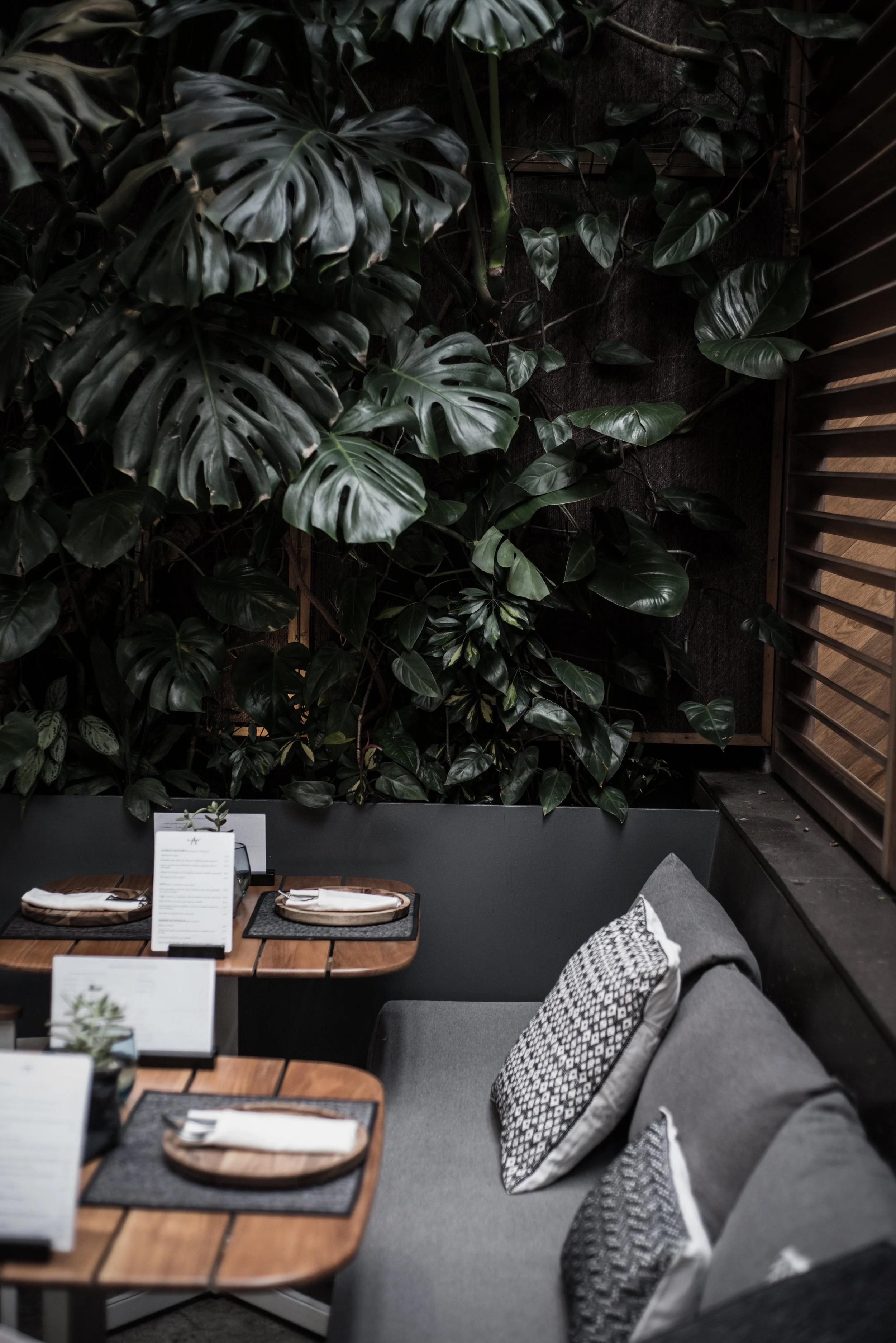 Aromas_Cotidianos_HQ-0214.jpg