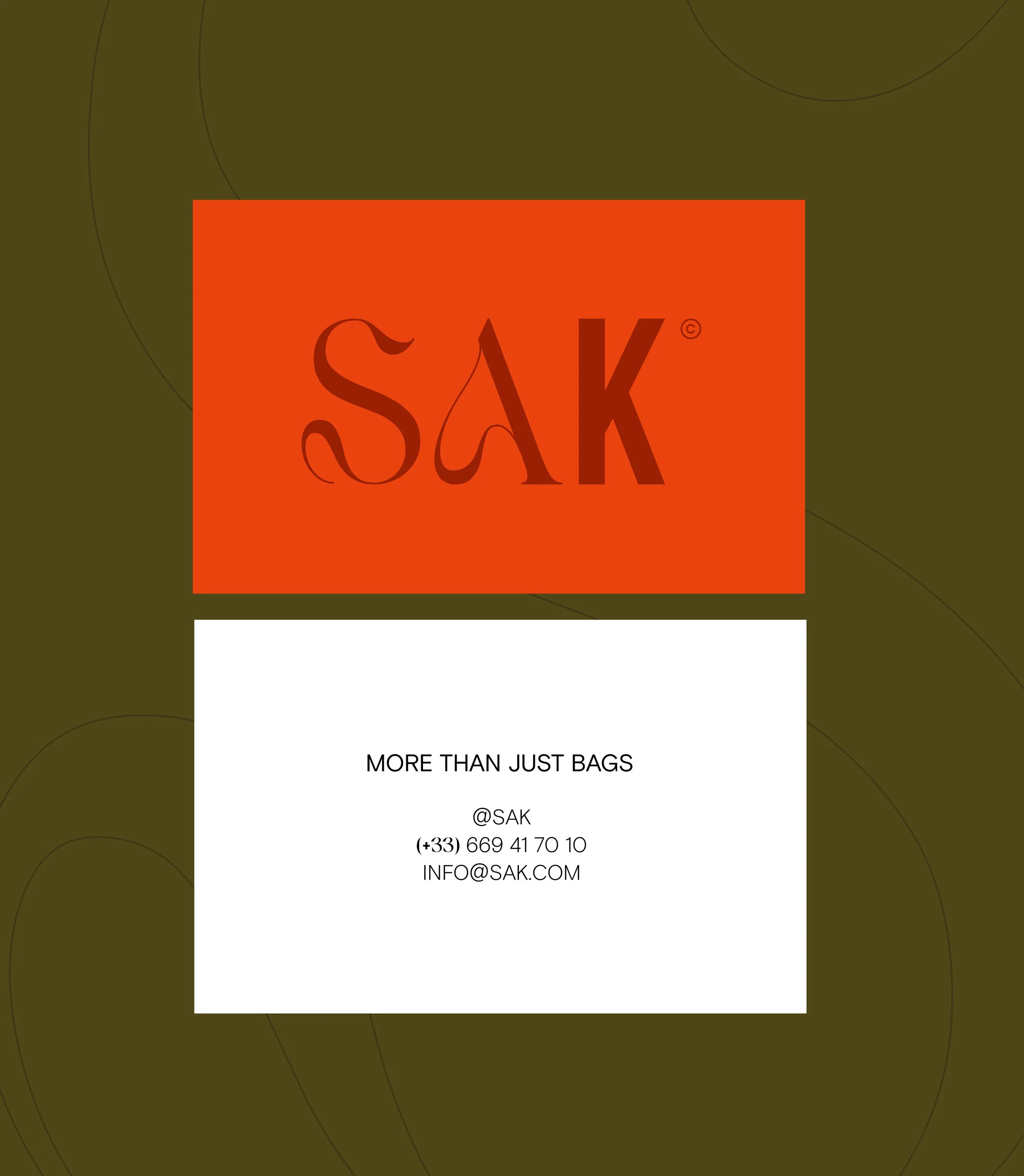 SAK2_Plan de travail 1-08.jpg