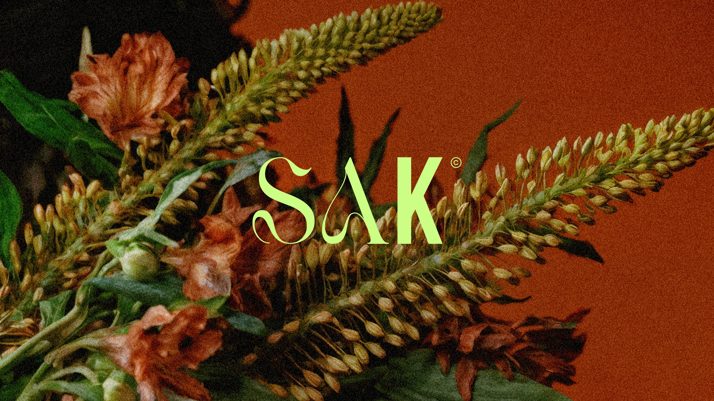 Sak (Création graphique + Digital)