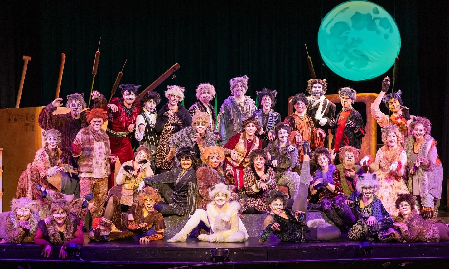 Cats 3.jpg