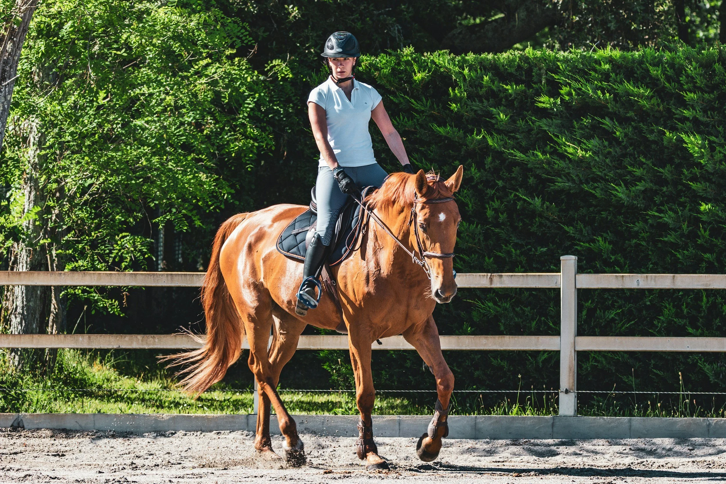 A women riding a brown horse in a corral.