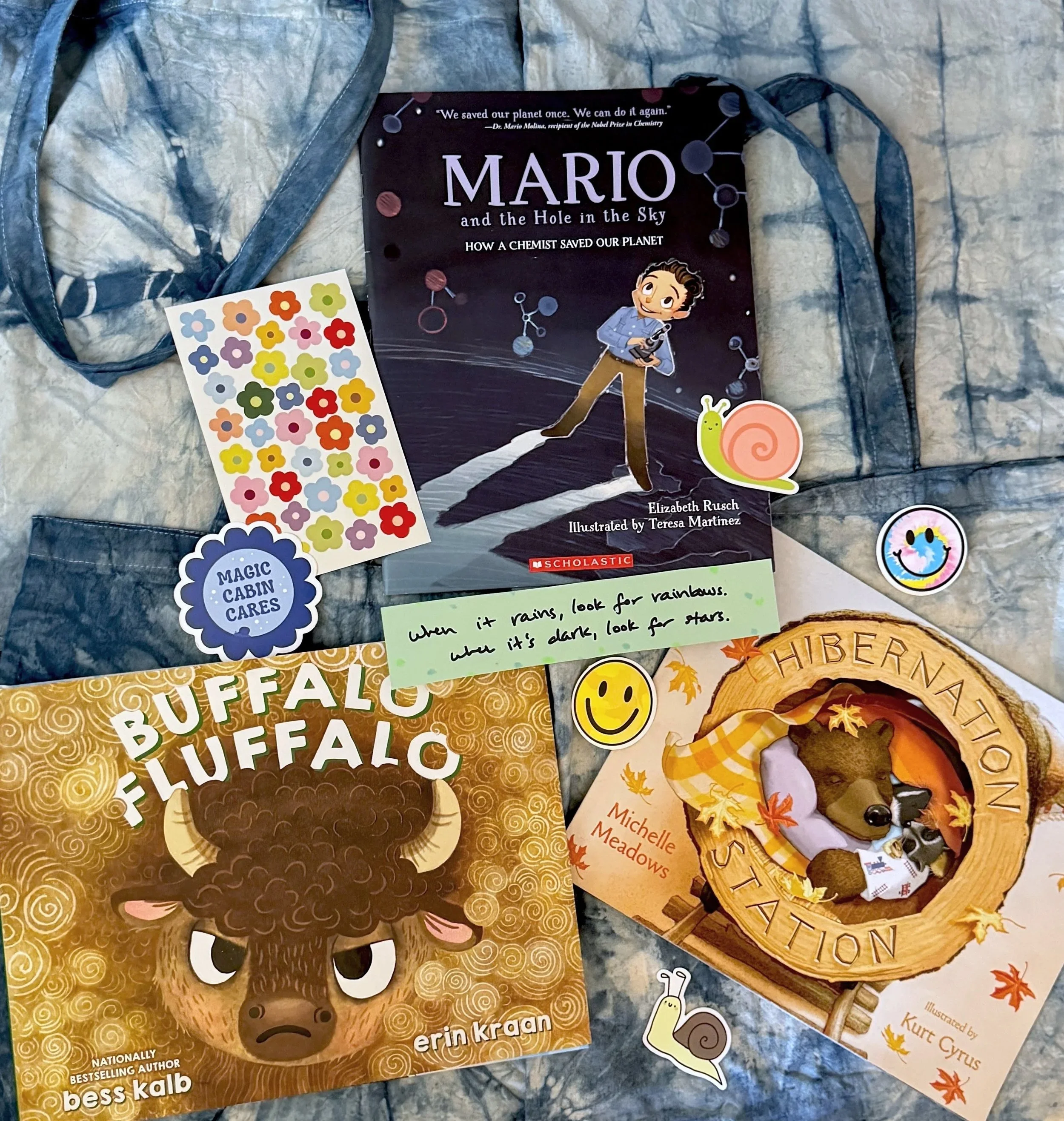 A collection of children's books and stickers on a bed. The books include "Mario and the Hole in the Sky," "Buffalo Fluffalo" by Erin Kraan, and "Hibernation" by Michelle Meadows. There are also colorful flower stickers, a snail sticker, a smiling fa