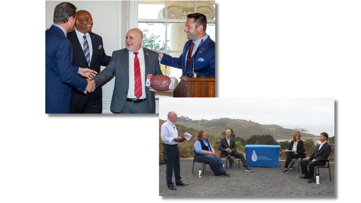 Helping Congressional Caucuses