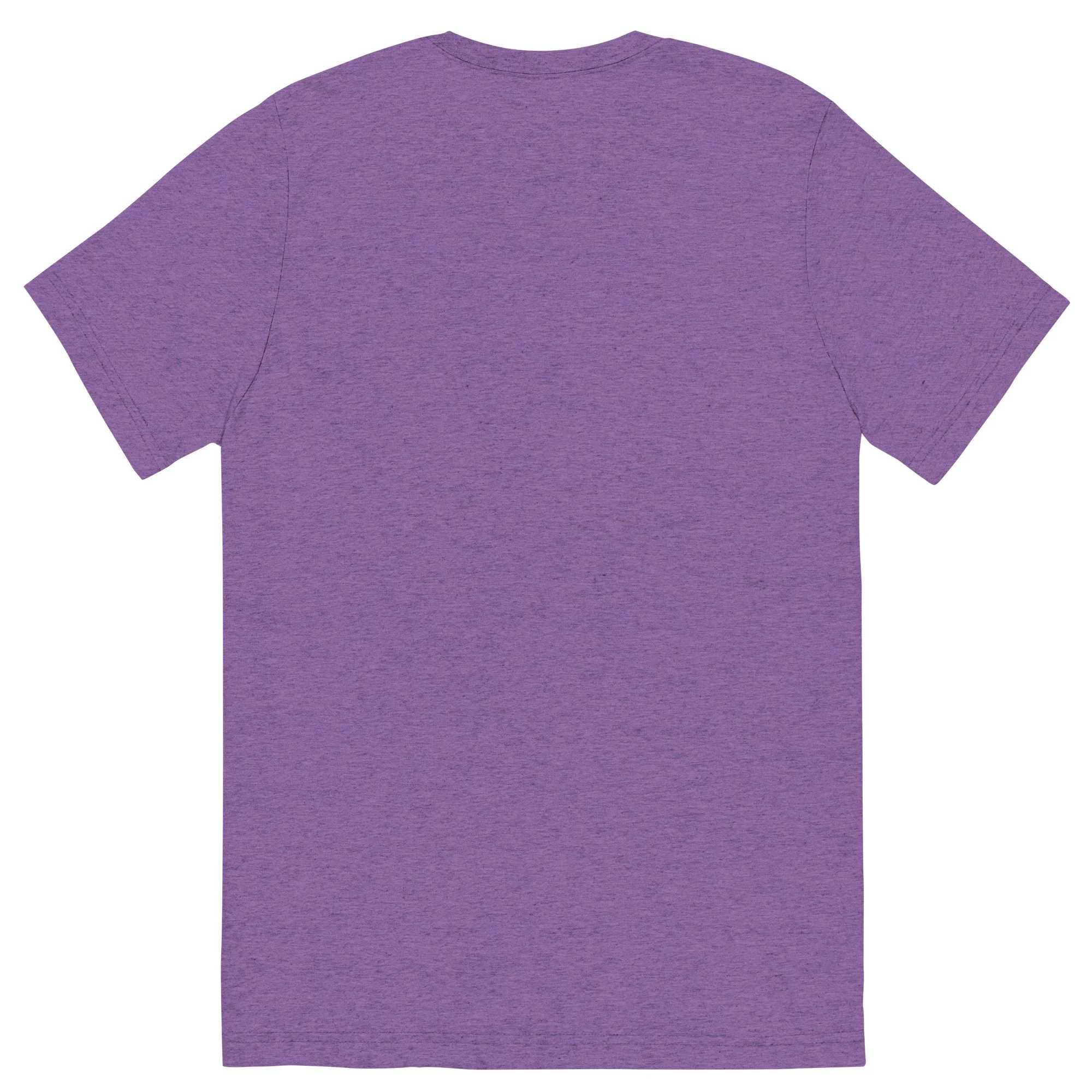 unisex-tri-blend-t-shirt-purple-triblend-back-66c75e82c74d3.jpg