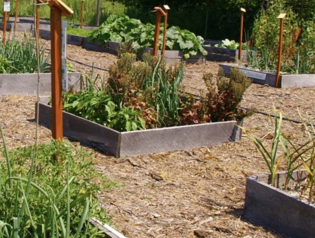 Image 5-2-24 at 9.19 AM.jpeg