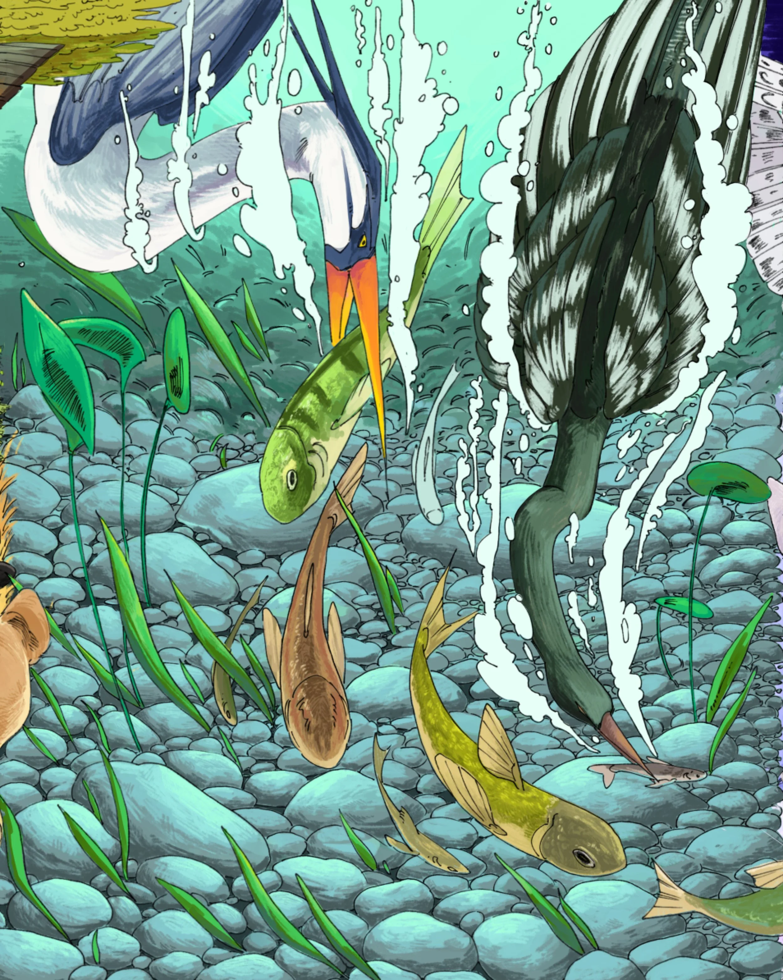 frazierkieryn-riverbed.jpg