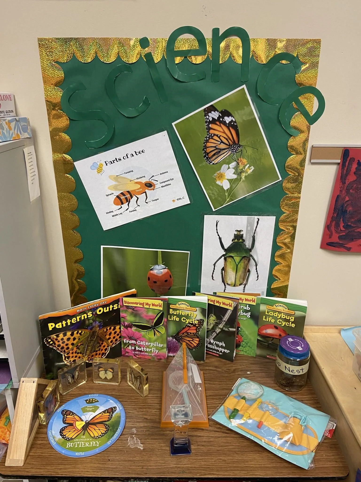 Educational display about butterflies and their life cycle, including posters, books, and craft materials on a table.
