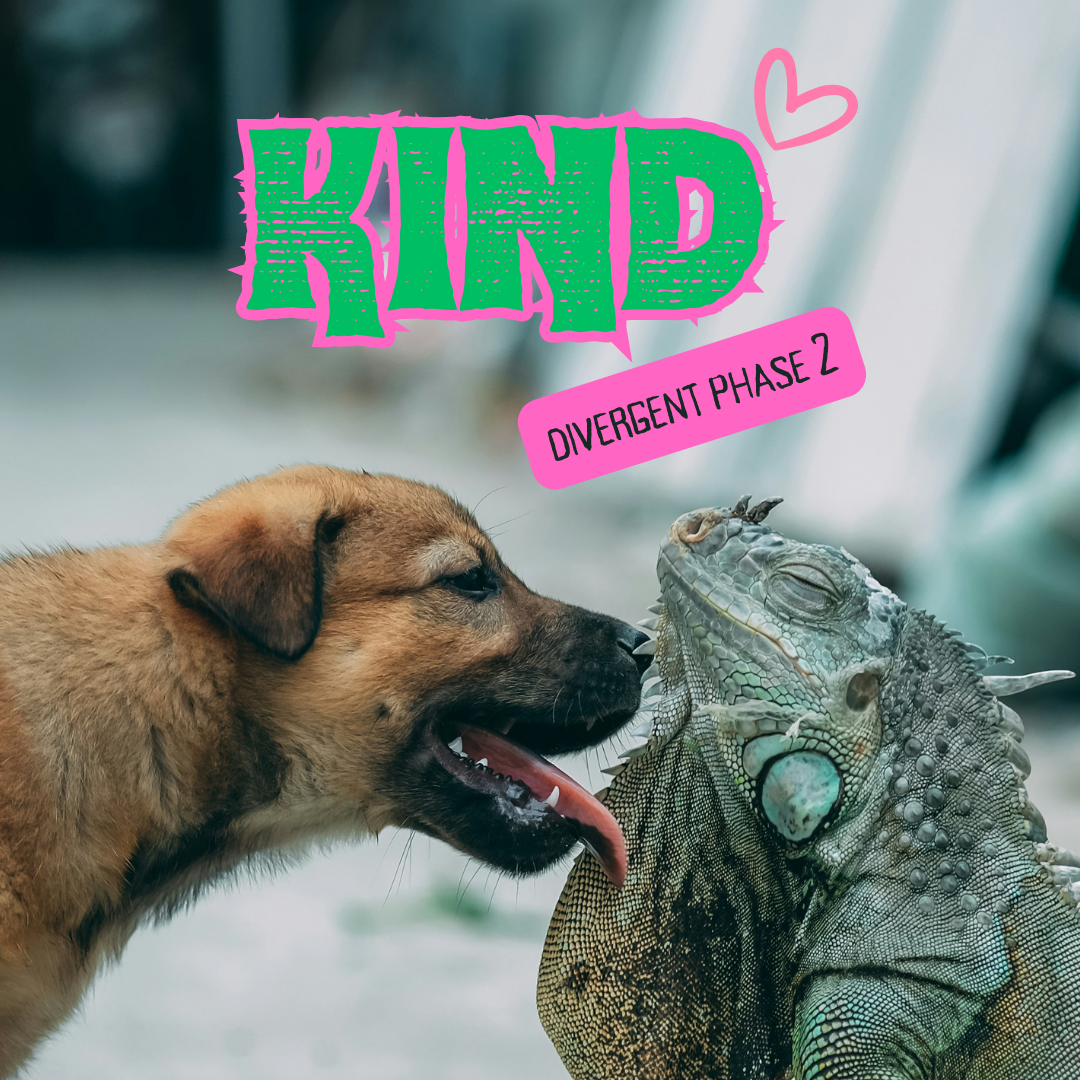 kind.png