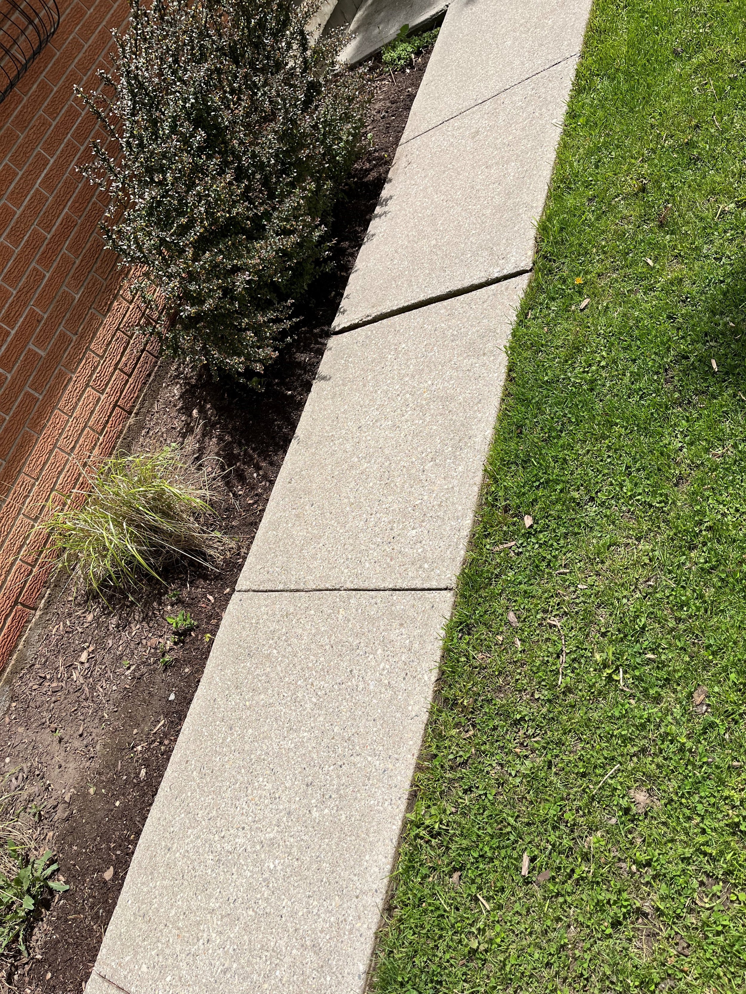 walkwayafter.jpg