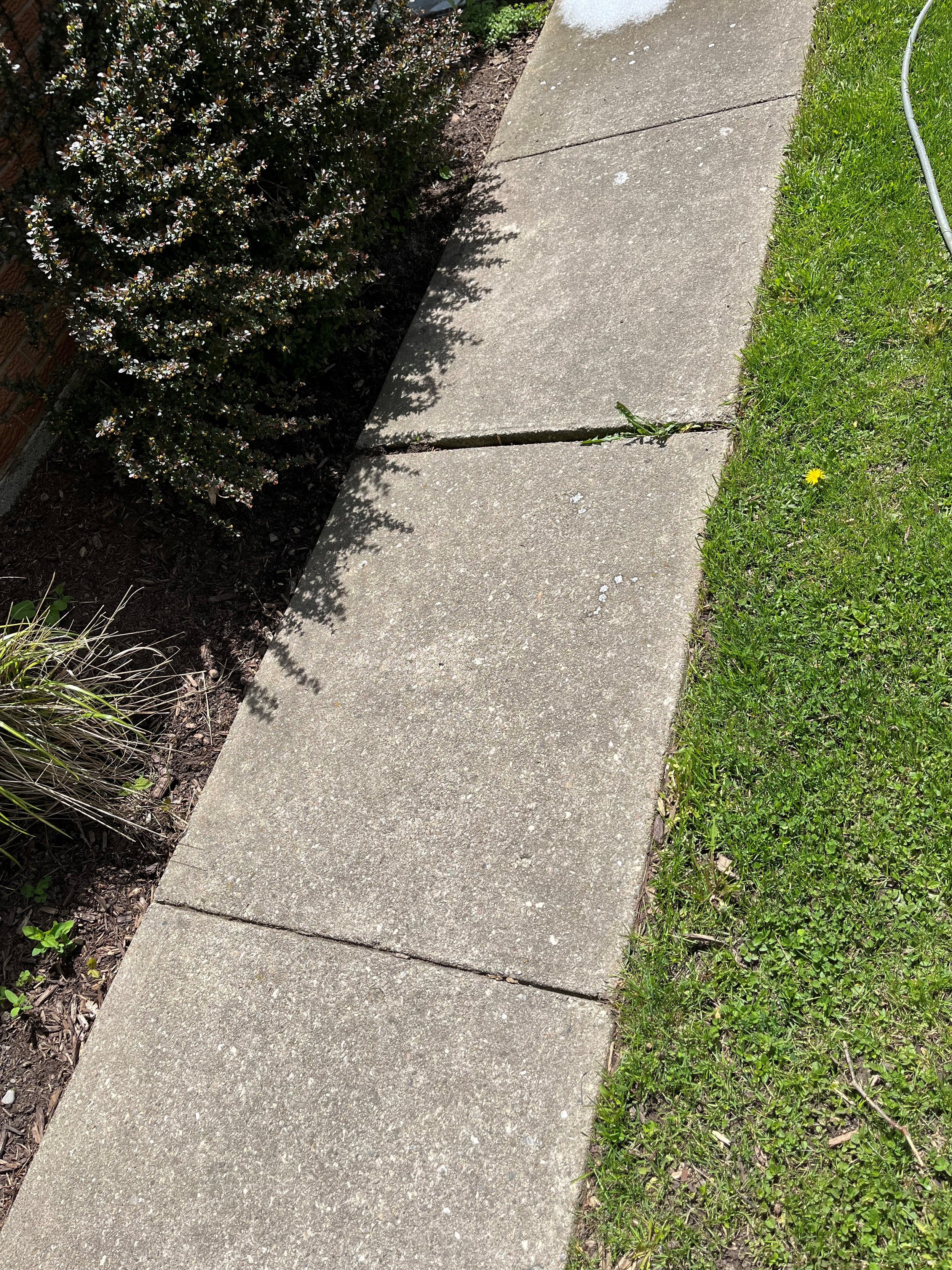 walkwaybefore.jpg