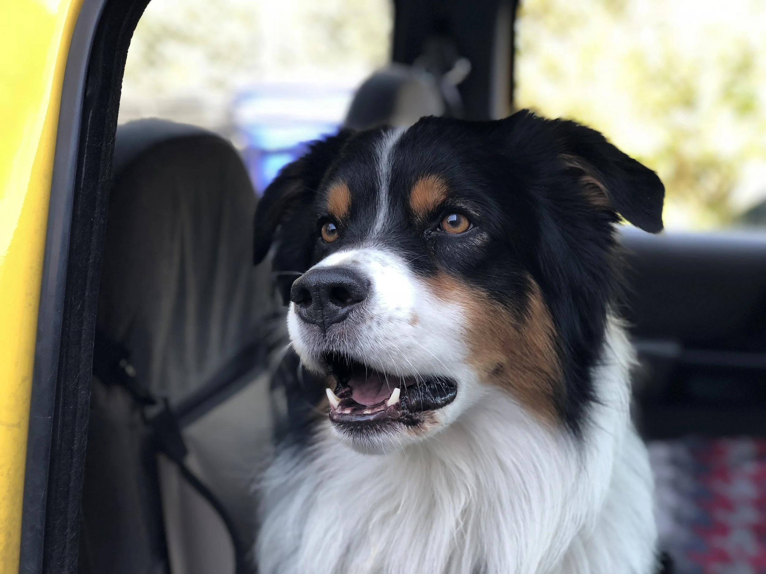 Why Prevention is Better Than Cure