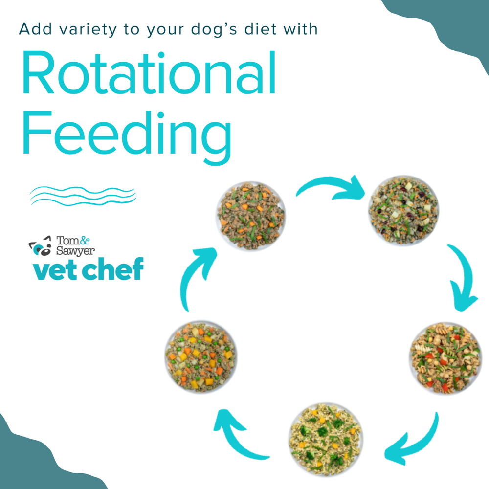 Thumbnail for Rotational Diet Dog Food With Egg And Turkey