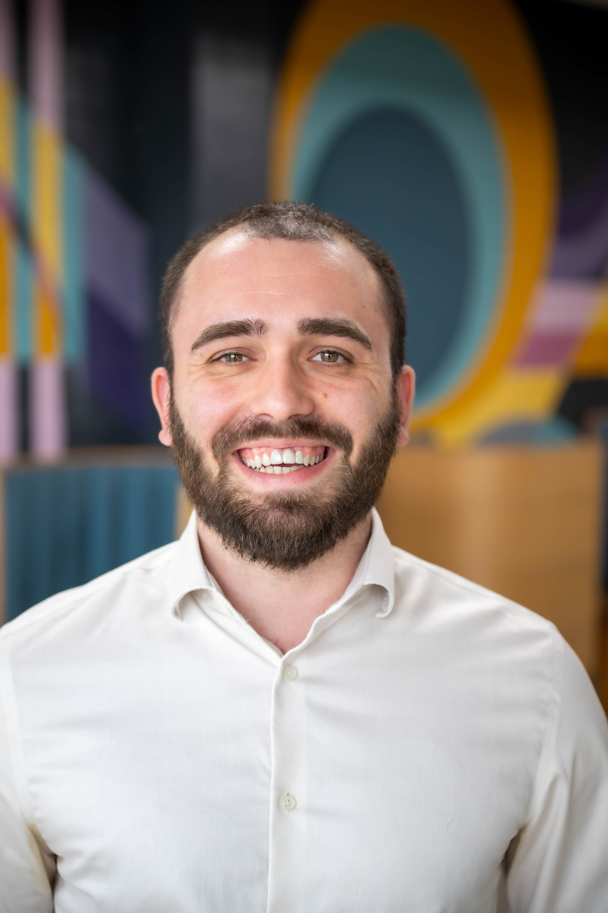 Chris Dimitrievski, DRYWALL AND CARPENTRY at wise design & remodel