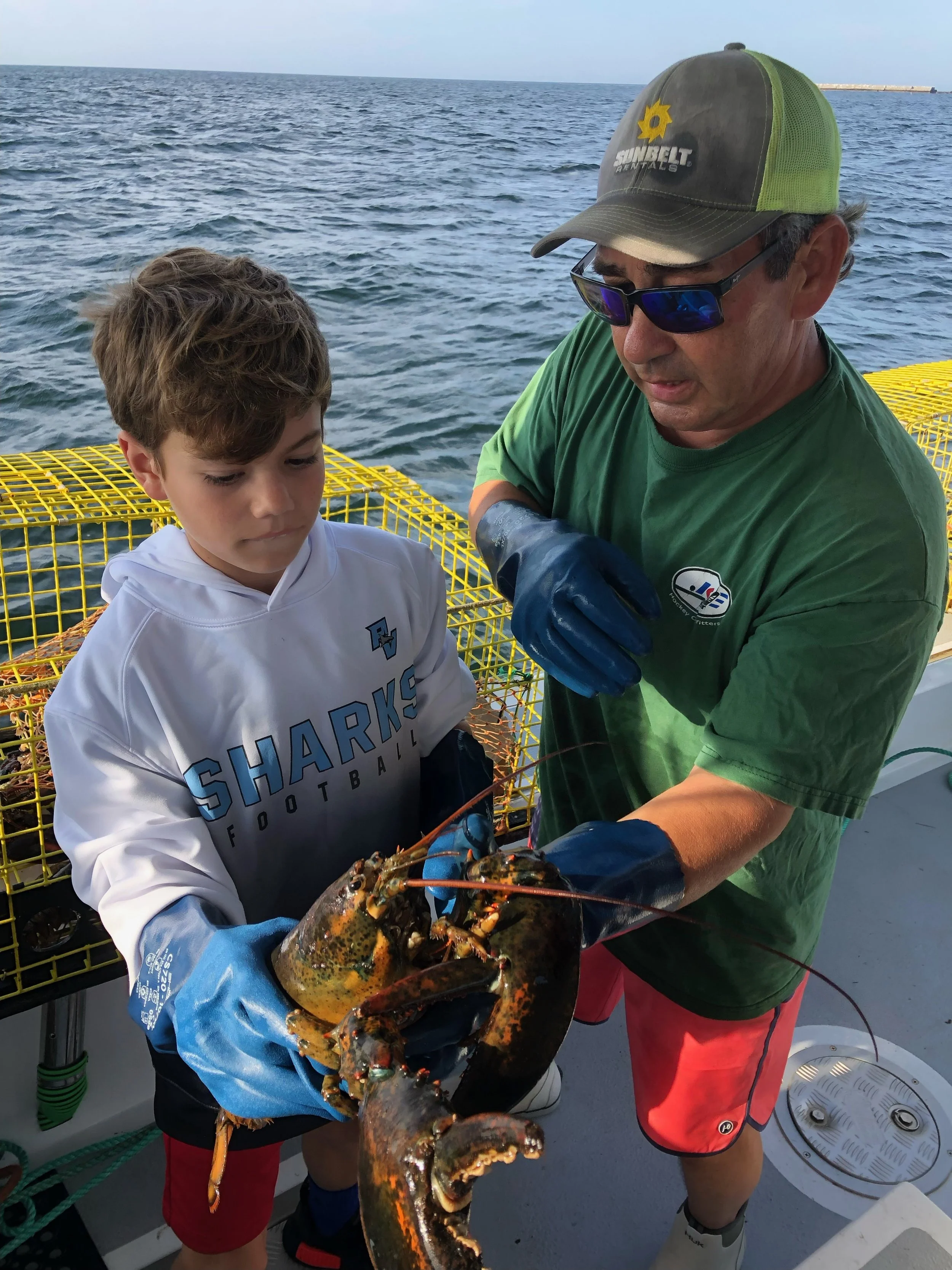 Child Learning about lobsters