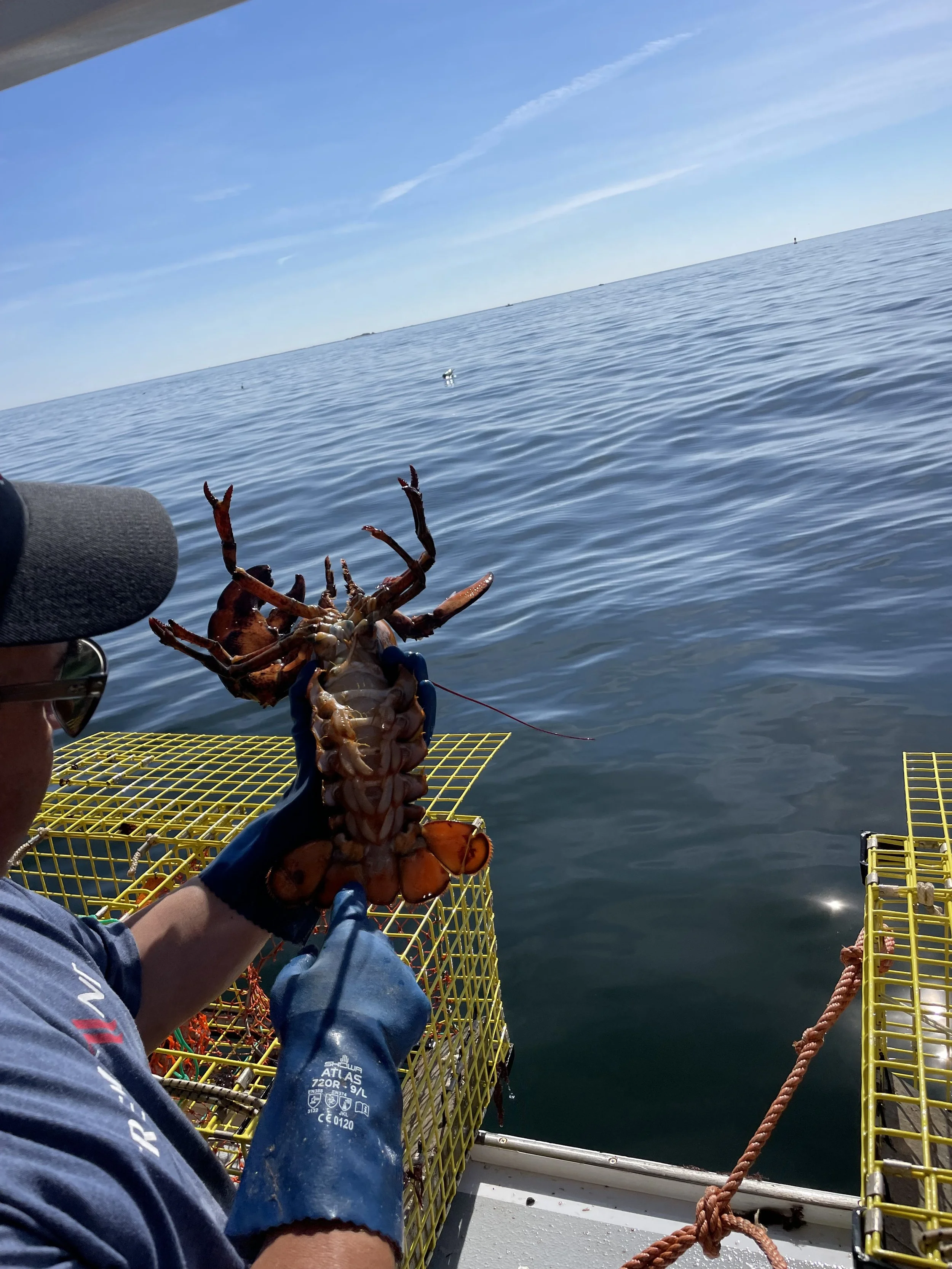 Dave Explaining V-notch