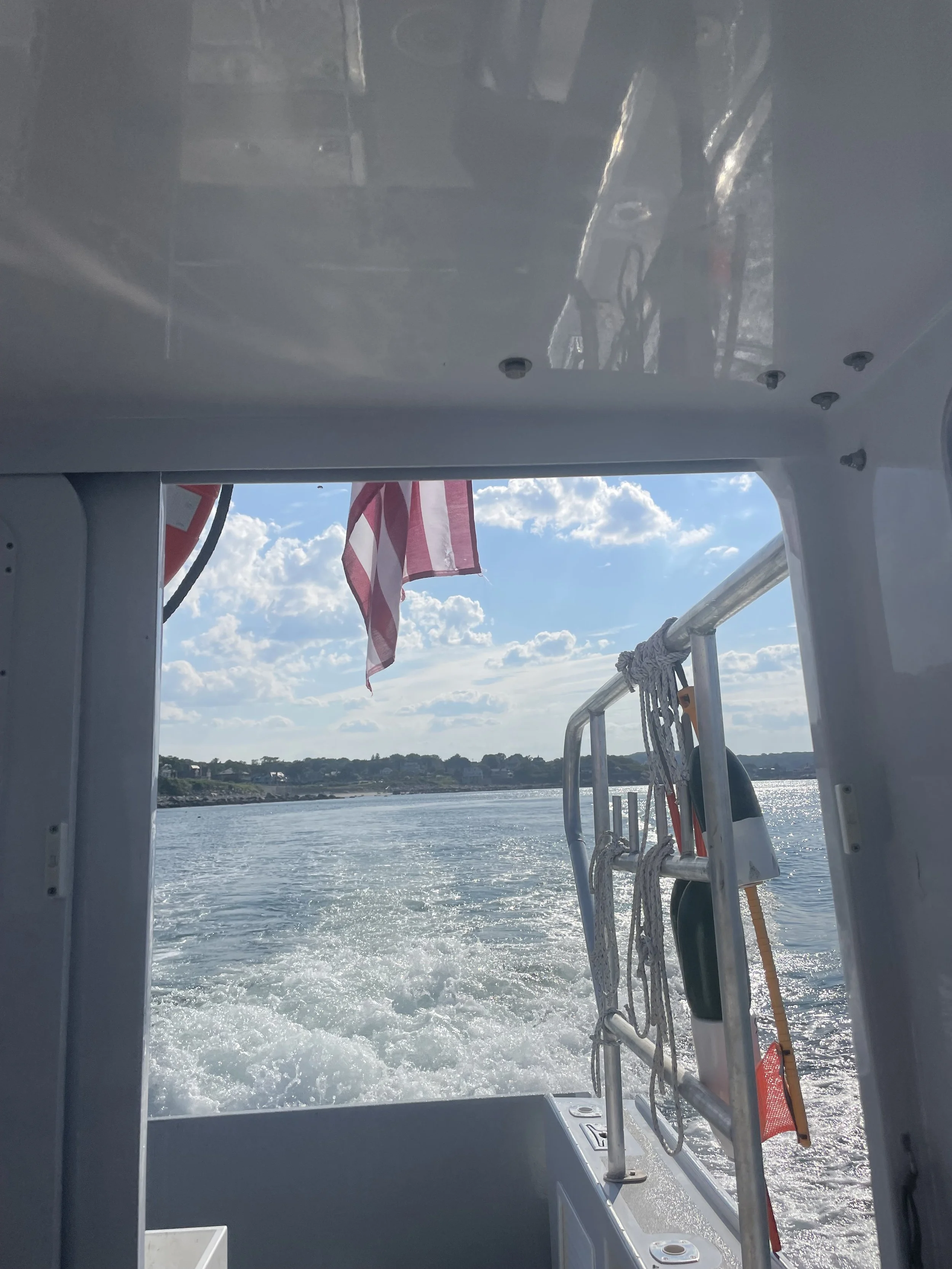 View from a boat looking at the ocean, with an American flag and lifebuoys on the railing.