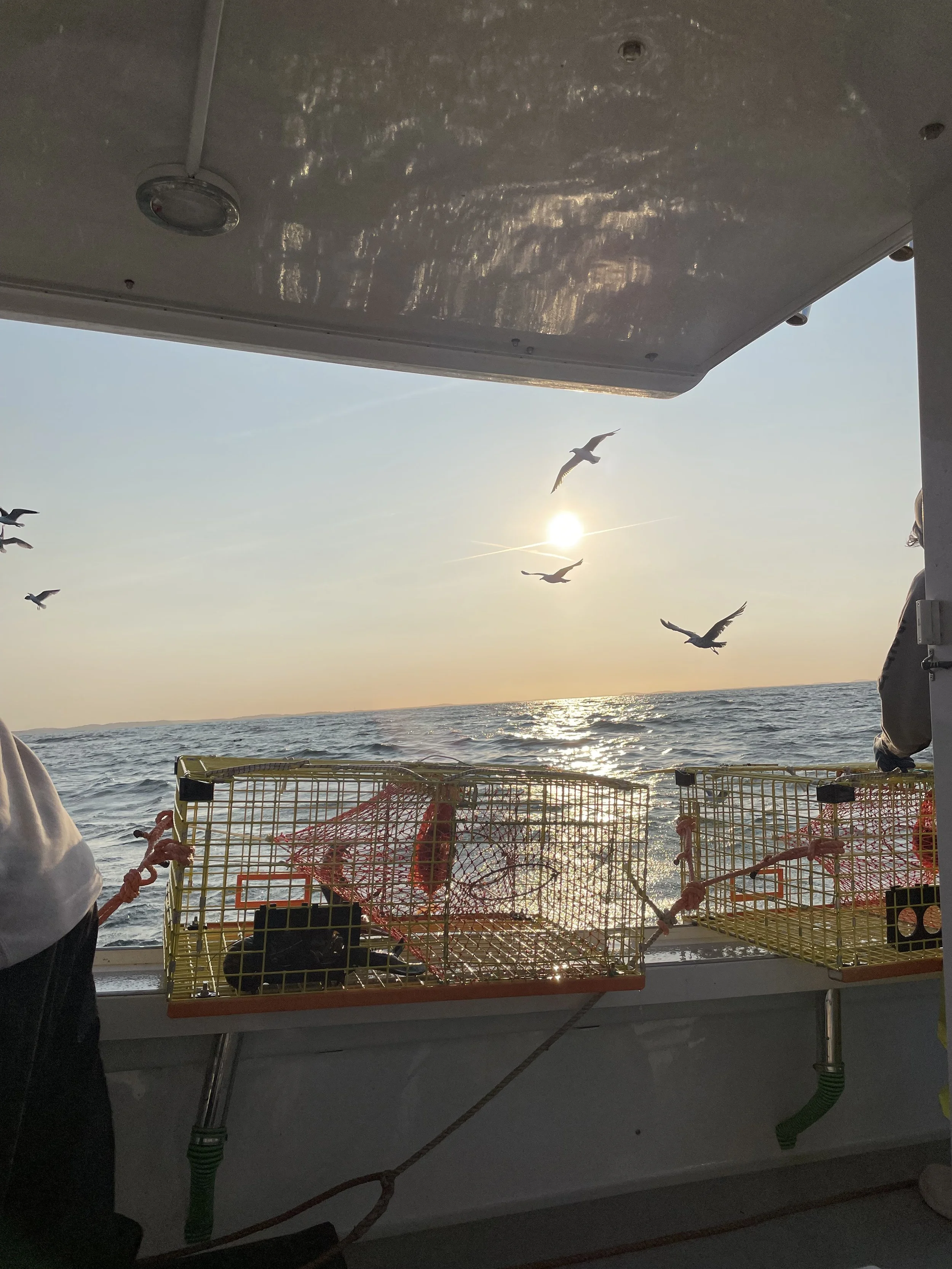 Seagulls flying past lobster boat