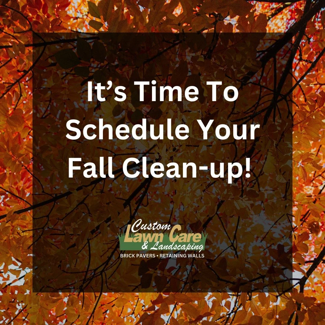 🍂🍁 Happy First Day of Fall! 🍁🍂

The leaves are starting to change, and that means it&rsquo;s time to schedule your fall clean-up! Keep your property looking its best and ready for winter with our professional clean-up services.

✅ Leaf + debris r
