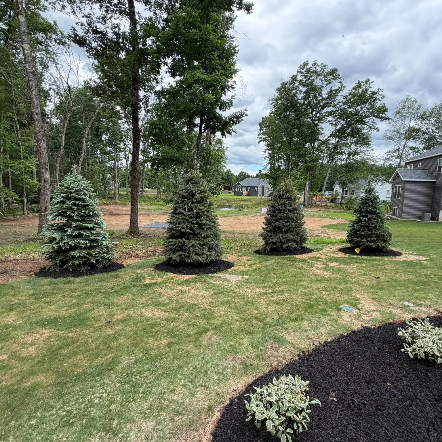 🌳A few well-placed trees and fresh mulch can make all the difference. They add privacy, boost curb appeal, and help a new build feel like home!