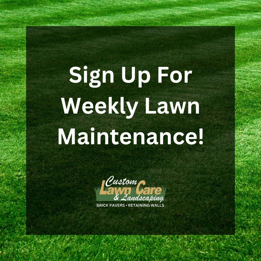 After this long winter, it&rsquo;s time to enjoy your yard &mdash; not spend your weekends working in it. 🌱

Sign up for our Weekly Lawn Maintenance Plan and let us handle the work!

Our plan includes:
&bull; Spring Clean Up
&bull; Fertilization Pro