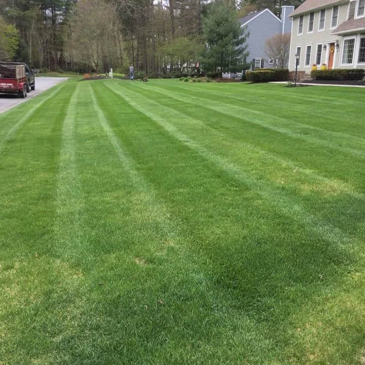 Choosing the right landscaping company matters &mdash; here&rsquo;s why homeowners choose us:

✅ 20+ years in business
✅ Owner-operated
✅ Fully insured for your peace of mind
✅ Reliable, professional service

Call or text today for a free consultatio