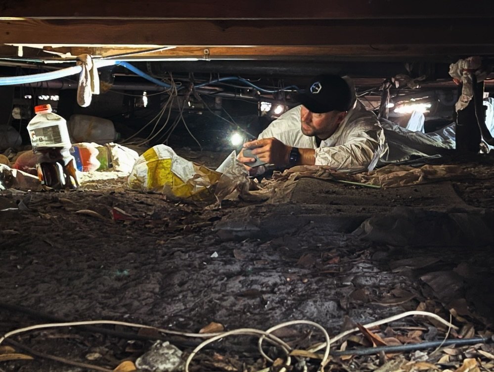The less glamorous side of forensic engineering will land you in some tight spaces. Made a few new friends under this historic 1920&rsquo;s bungalow and discovered some long-term plumbing leaks along the way. At Edgewood, we do what&rsquo;s necessary