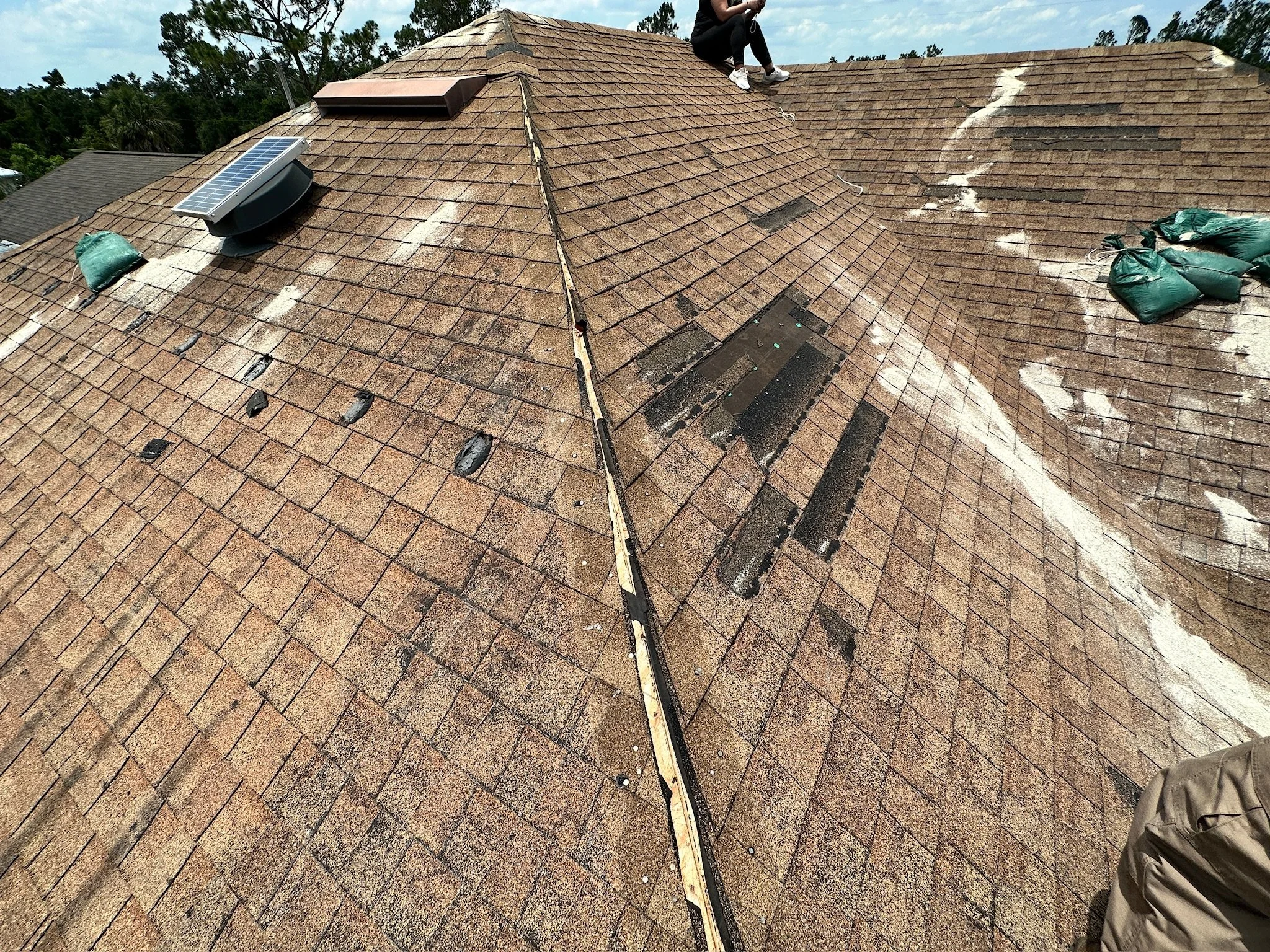 Shingle Wind Damage.JPG