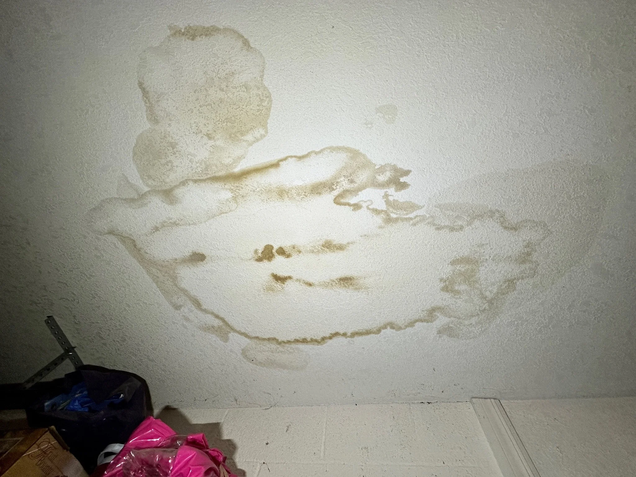 Water Damage - Overlapping Staining.JPG