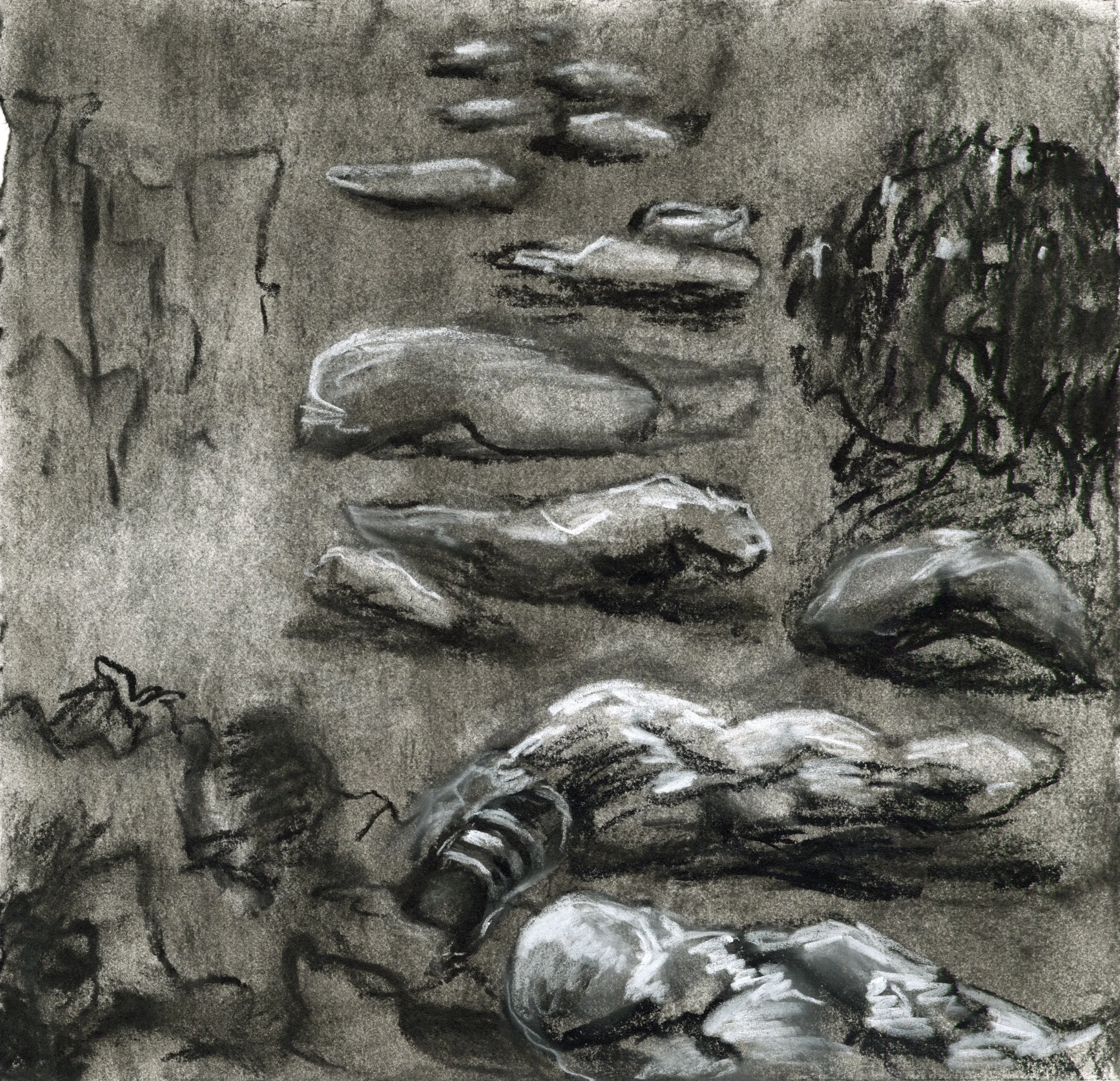 body bags 1 drawing.jpg