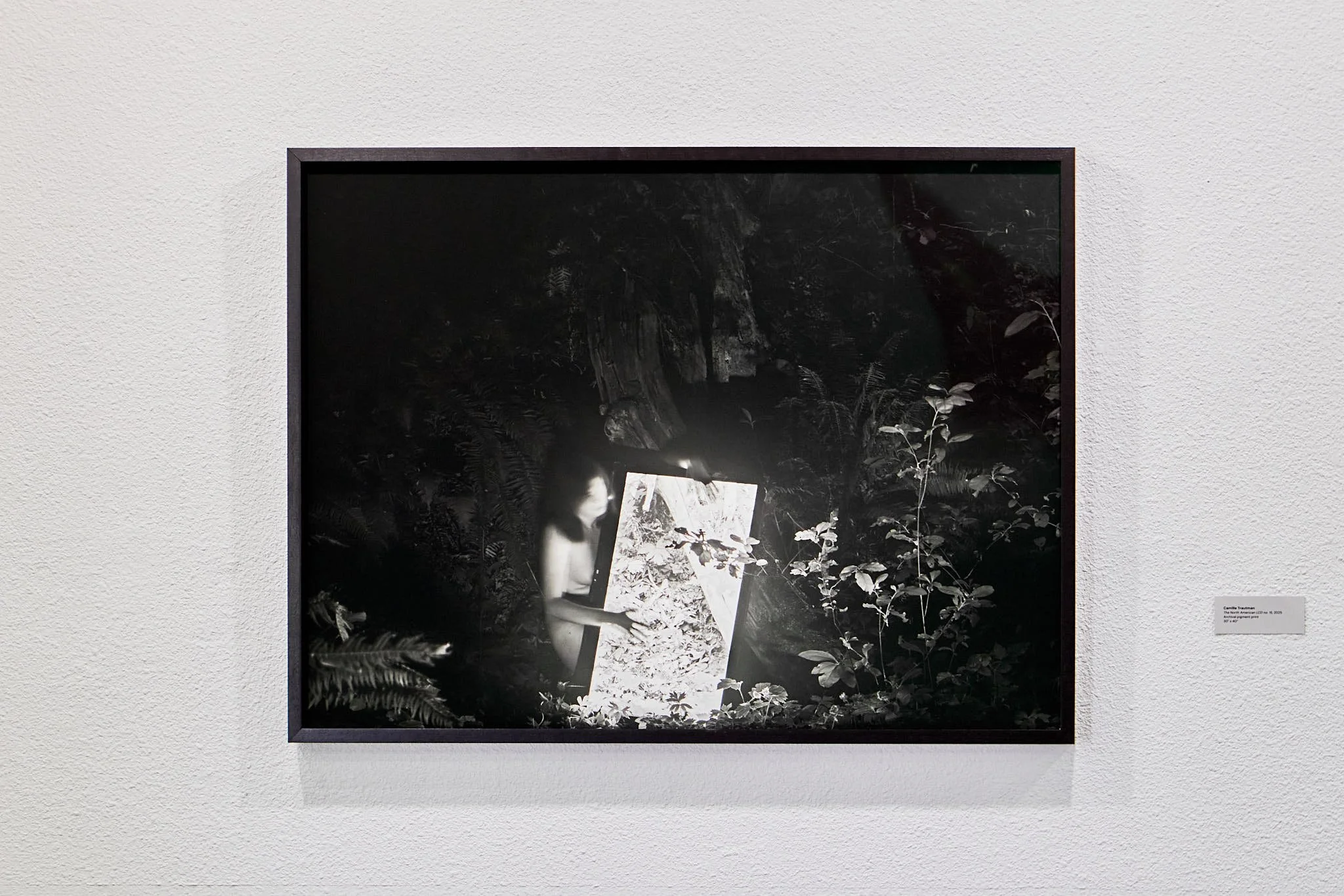 ChrysalisDOC (2).jpg