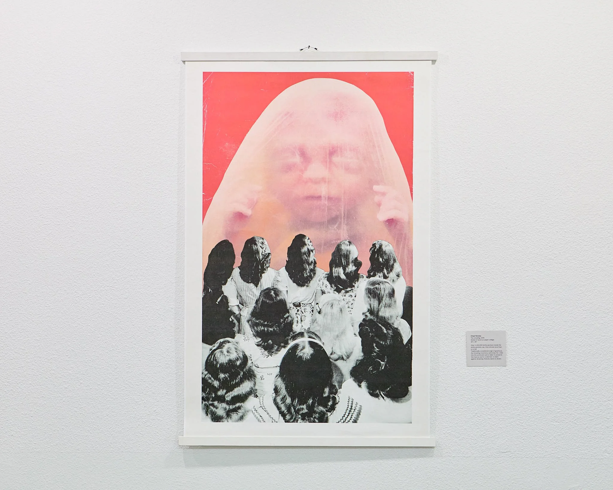 ChrysalisDOC (14).jpg