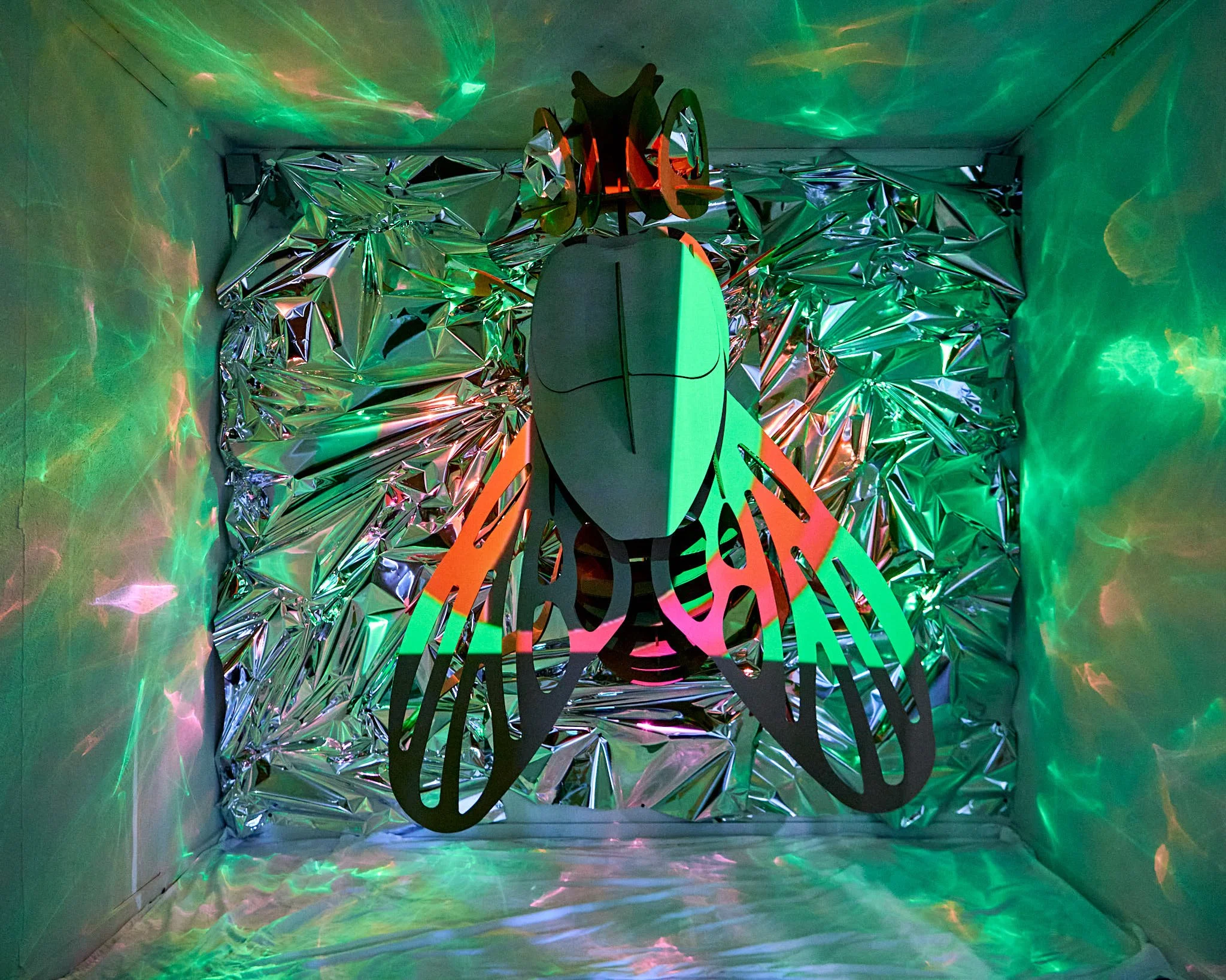 ChrysalisDOC (30).jpg