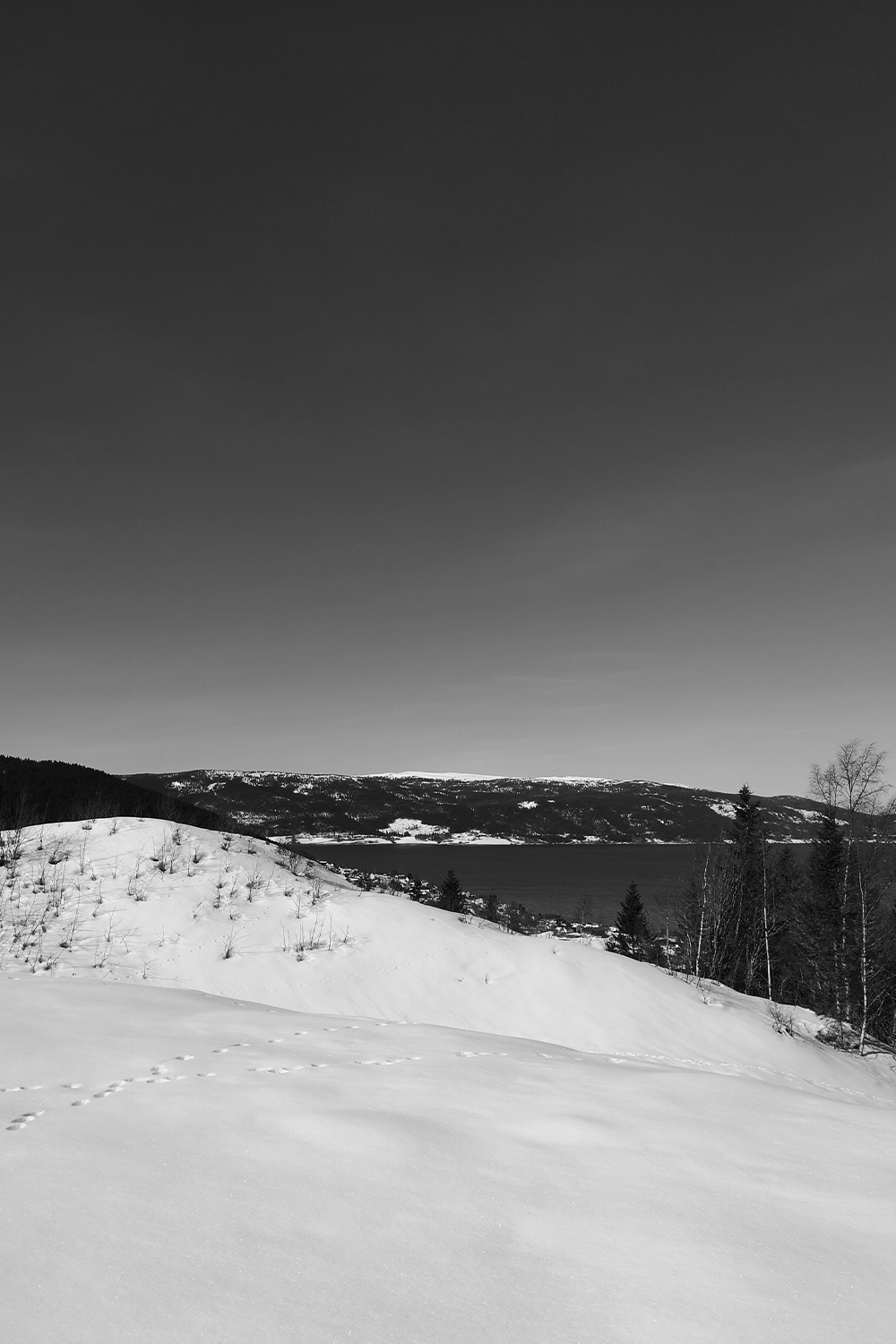 bergerudustad+_villarishaugen_4.png