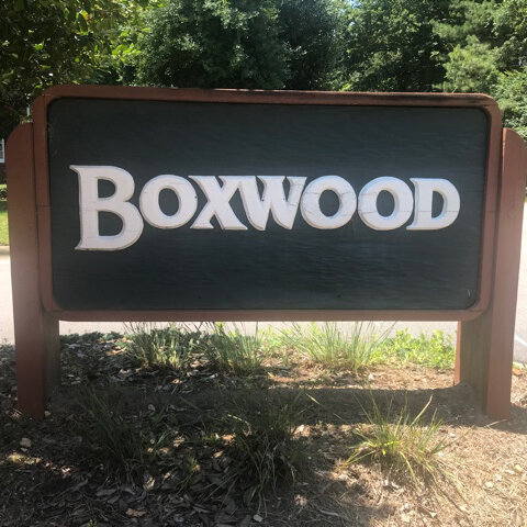 Boxwood.jpg