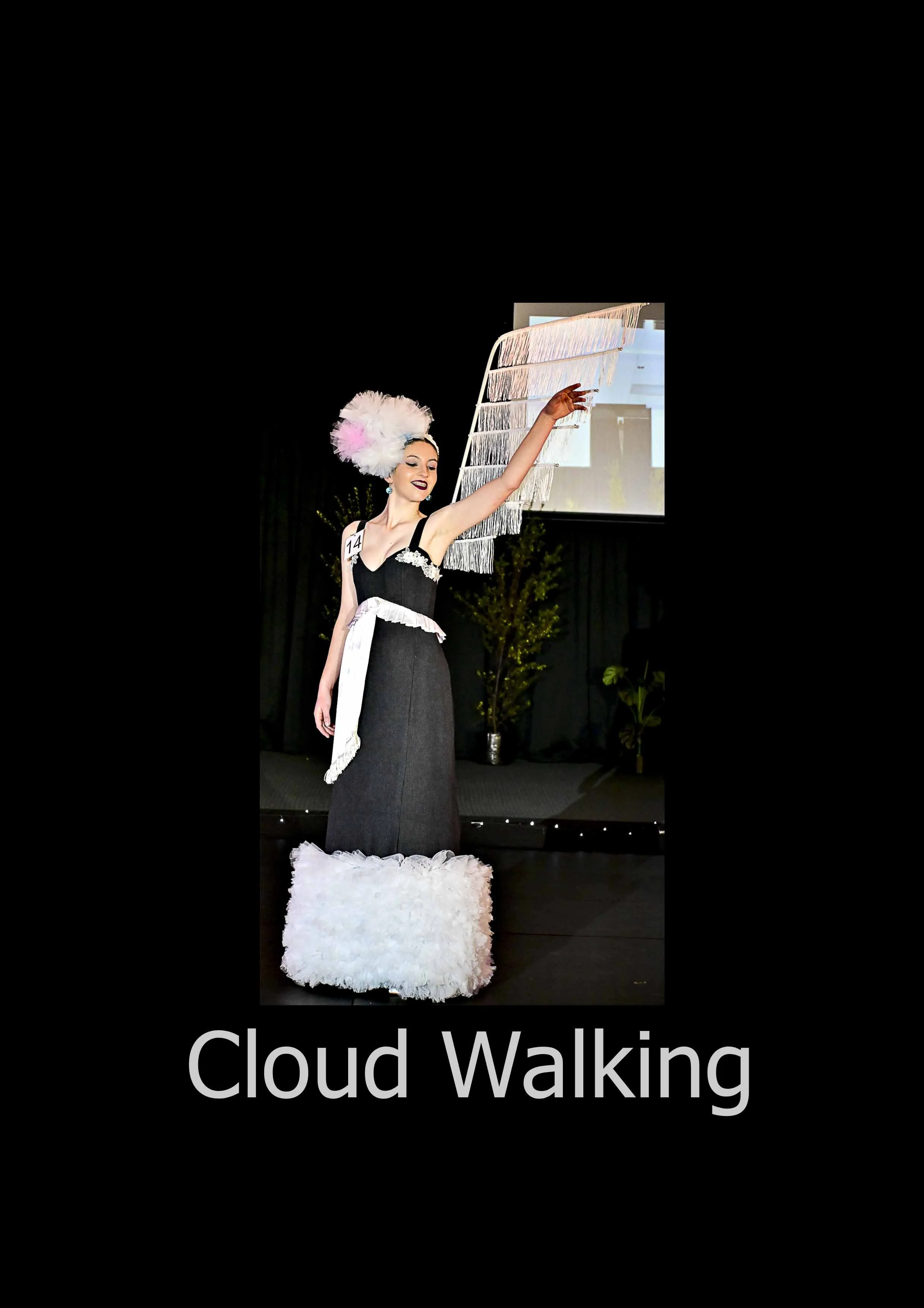Cloud Walking.jpg