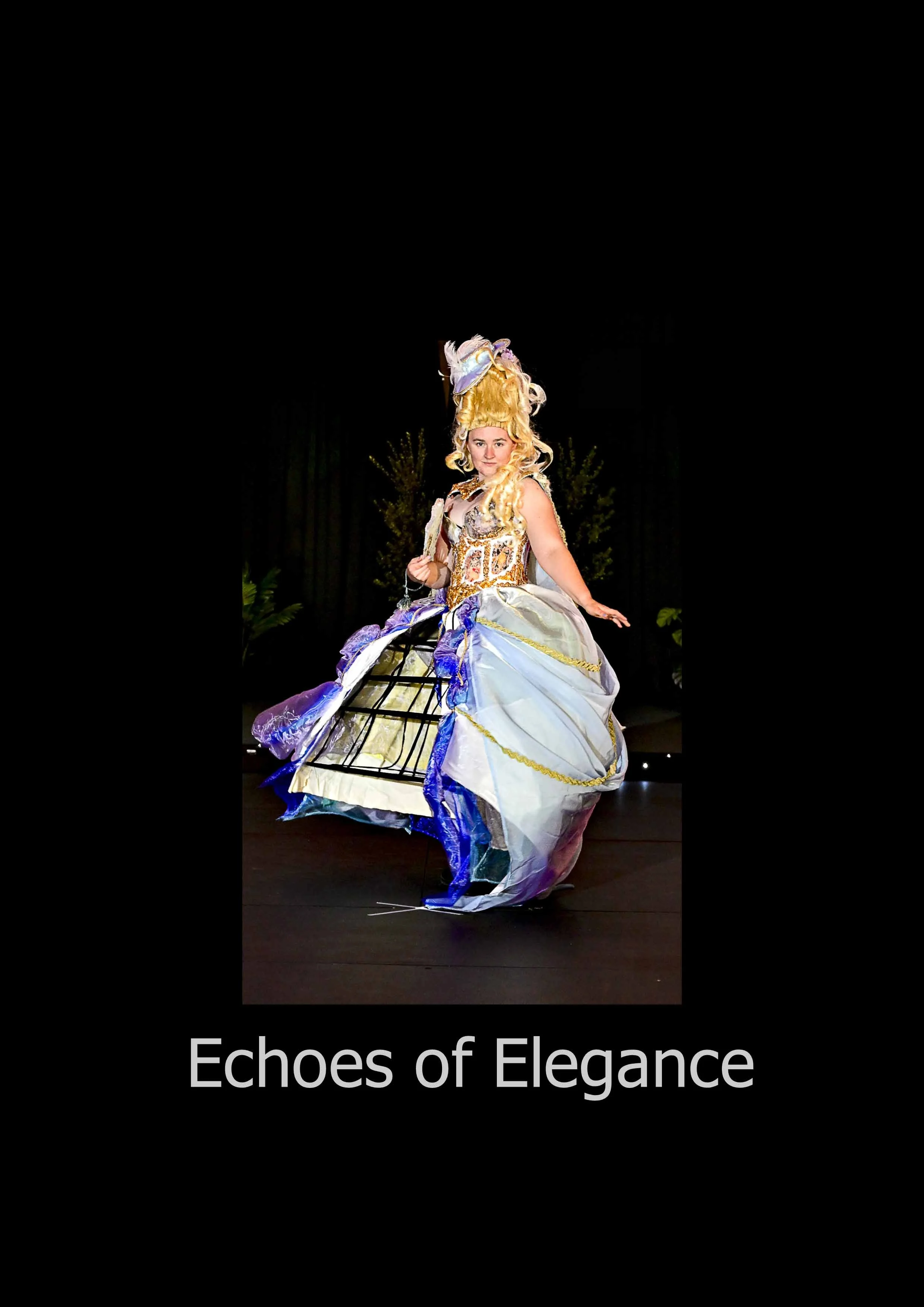 Echoes of Elegance.jpg