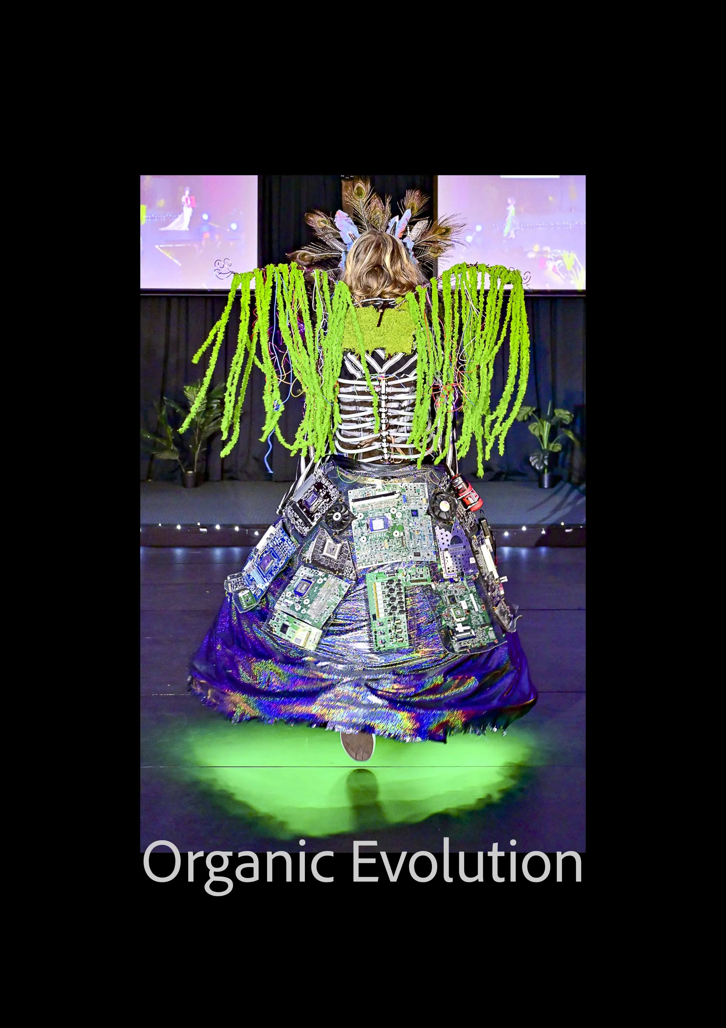 Organic Evolution.jpg