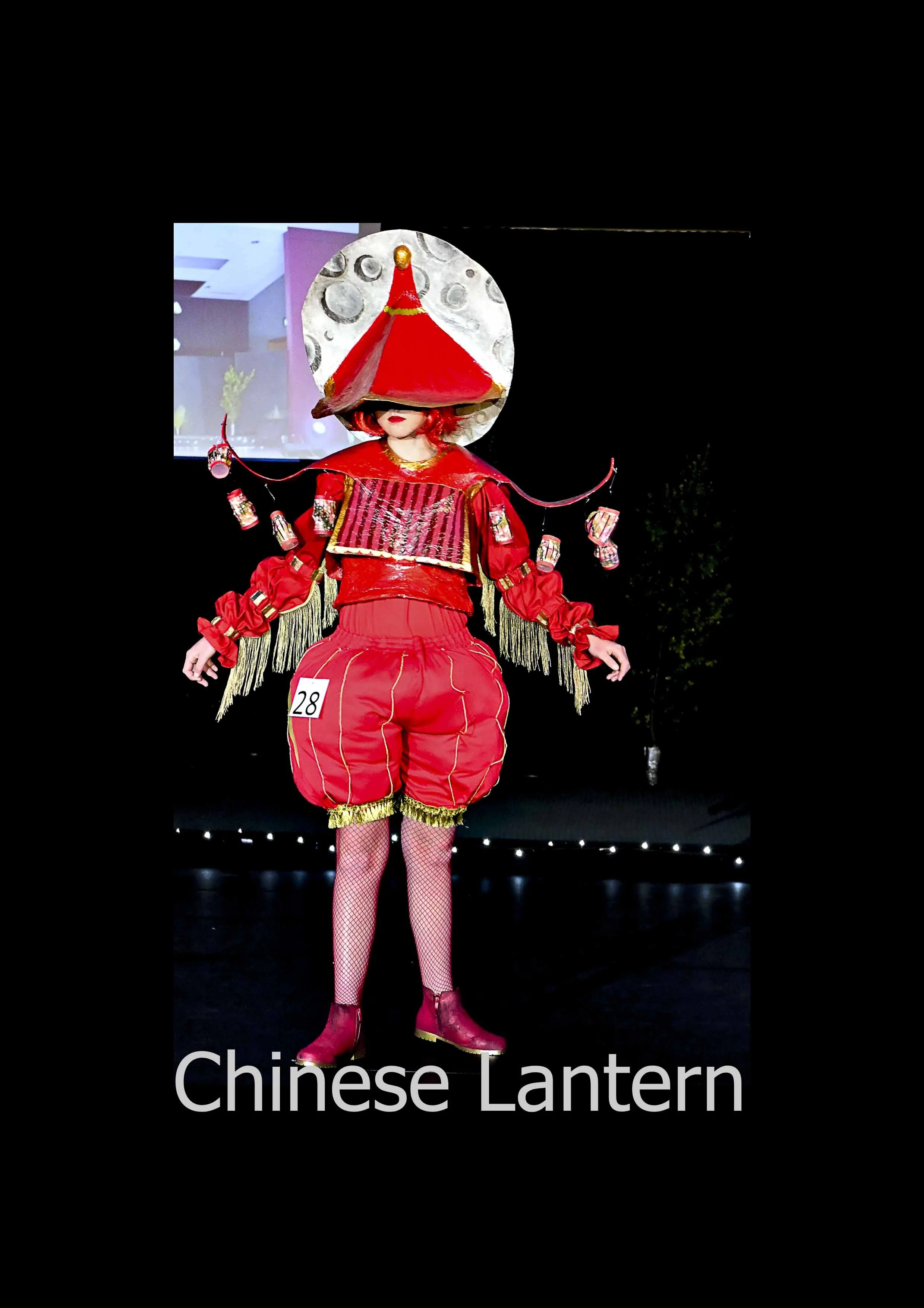 Chinese Lantern.jpg
