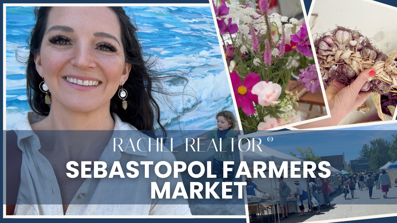 Explore the Sebastopol Farmers Market