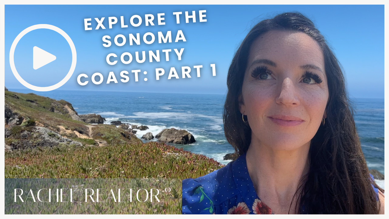 Explore the Sonoma County Coast