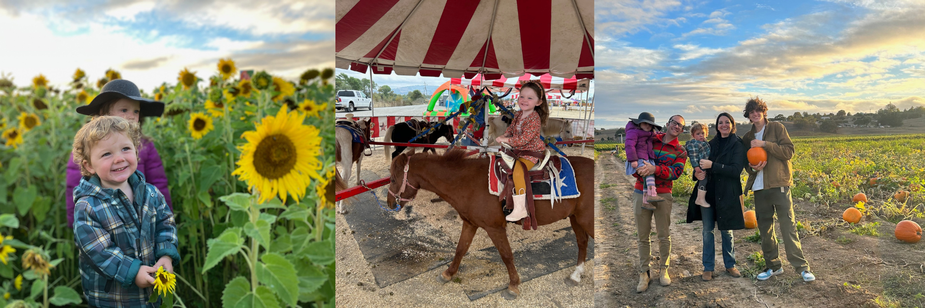 Top 10 Pumpkin Patches in Sonoma County