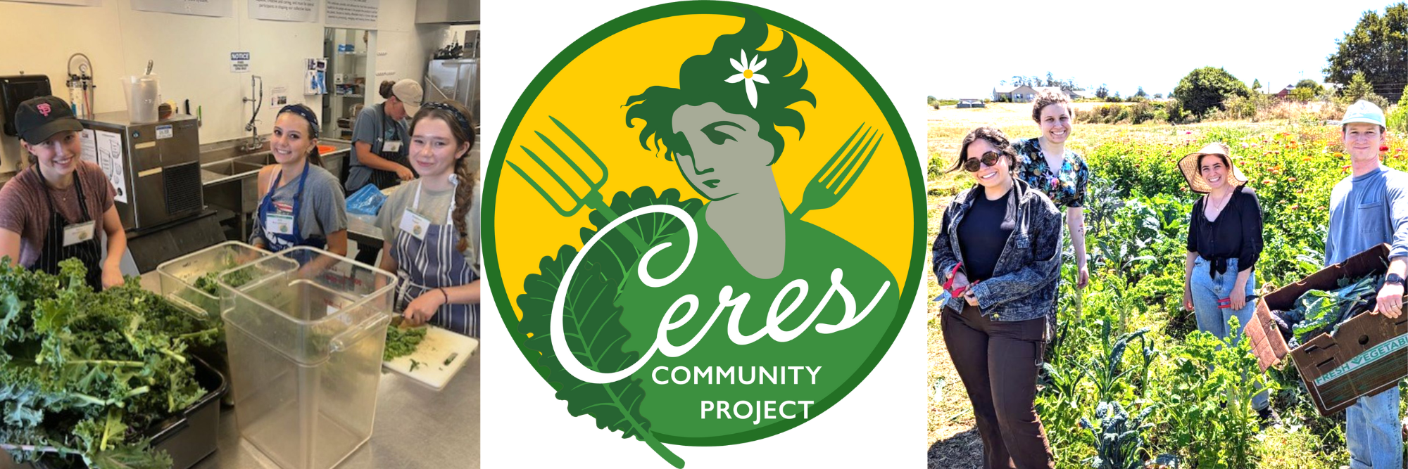 Local Non-Profit Highlight
