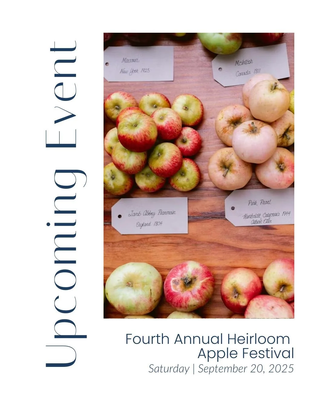 🍎 Fall&rsquo;s Sweetest Tradition Returns in Sebastopol! 🍂
The Fourth Annual Heirloom Apple Festival at Gold Ridge Organic Farms is one of the most charming and delicious ways to welcome autumn in Sonoma County.
🗓️ Saturday, September 20, 2025
🕙 