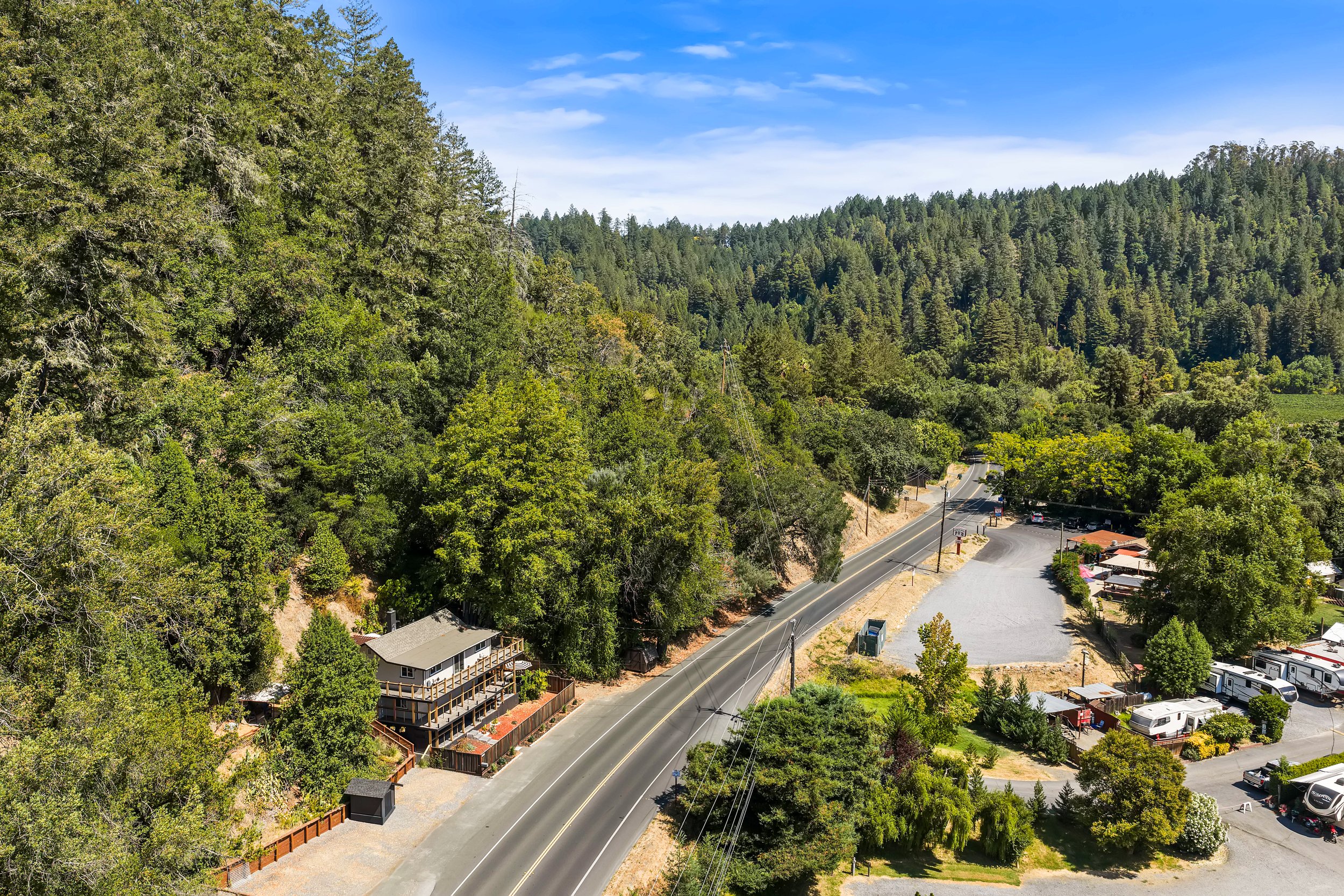 Looking up at tall redwood trees with lush green foliage in a forest. The image captures the height and grandeur of the trees from a low angle.