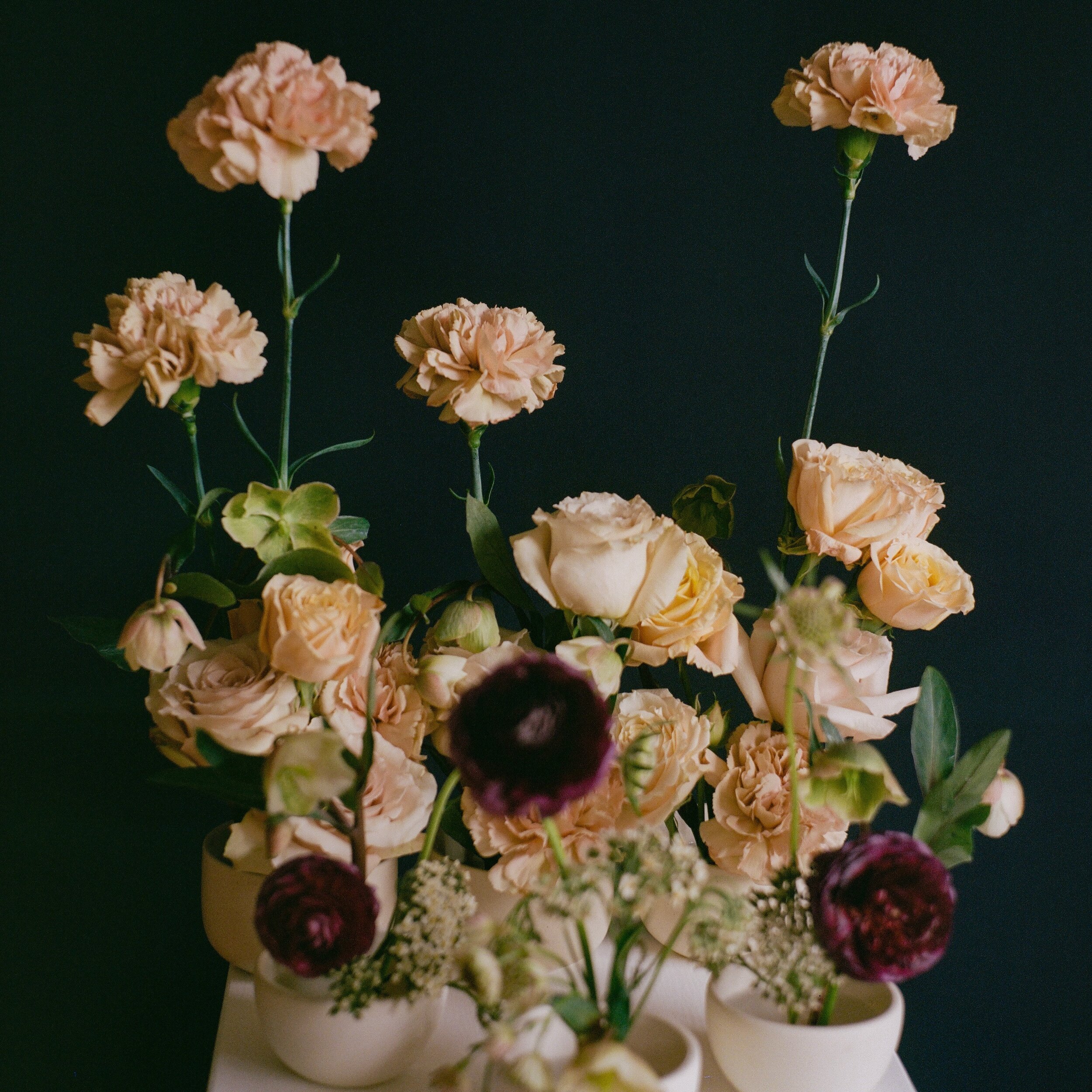 Floral still life from January ✨ shot on 120 film

#floralartistry #floralstilllife #flowers #floraldesigner #floristsofinstagram #creativefloristry #flowersforever #florist #flowersofinstagram #creativeflorals #flowerart #fineartphotography