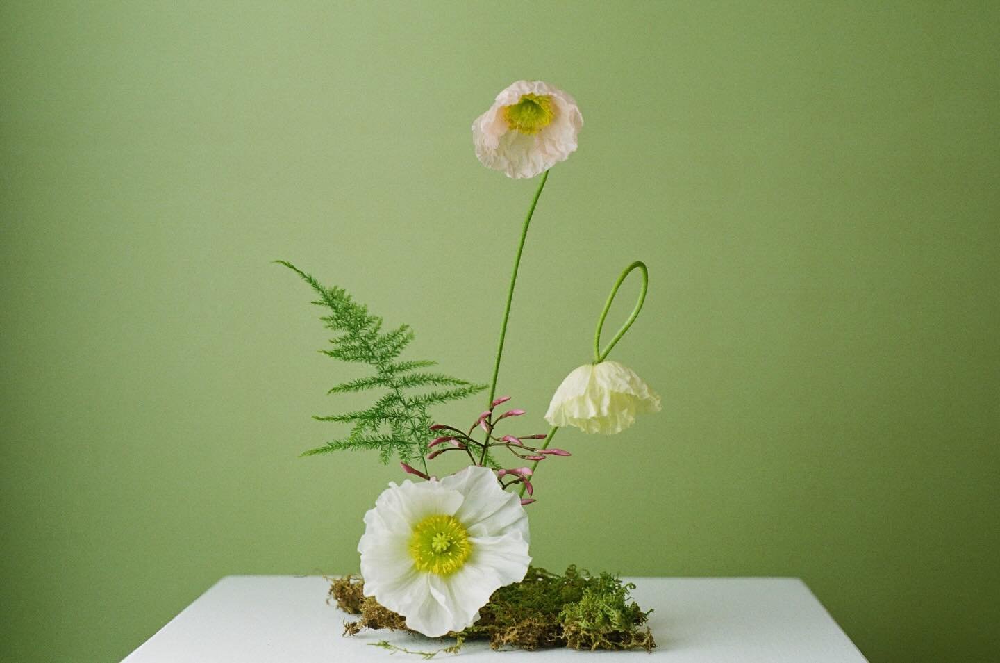 A delightful little mix // shot on film. 

Poppies, jasmine, asparagus fern, moss. For some fine art prints that will be available this weekend ⚡️ stay tuned on how to snag one for yourself!!

#floralart #floralstilllife #floralstyling #floralstudio 
