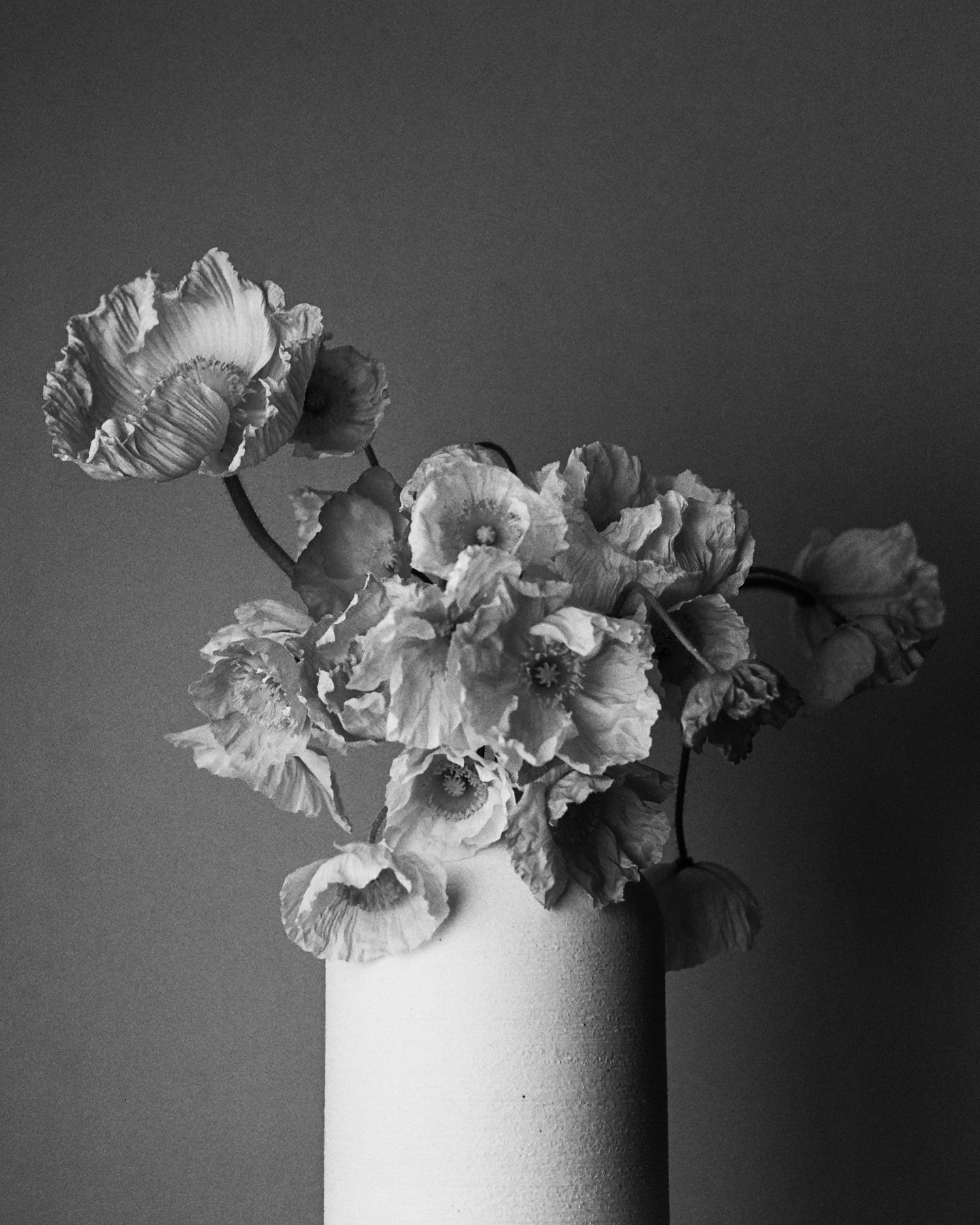 Poppy appreciation 🖤

Artful single ingredient floral arrangements are always my favorite. 

#artfulflorals #flowerarrangement #sustainablefloristry #denverflorist #coloradoflowers