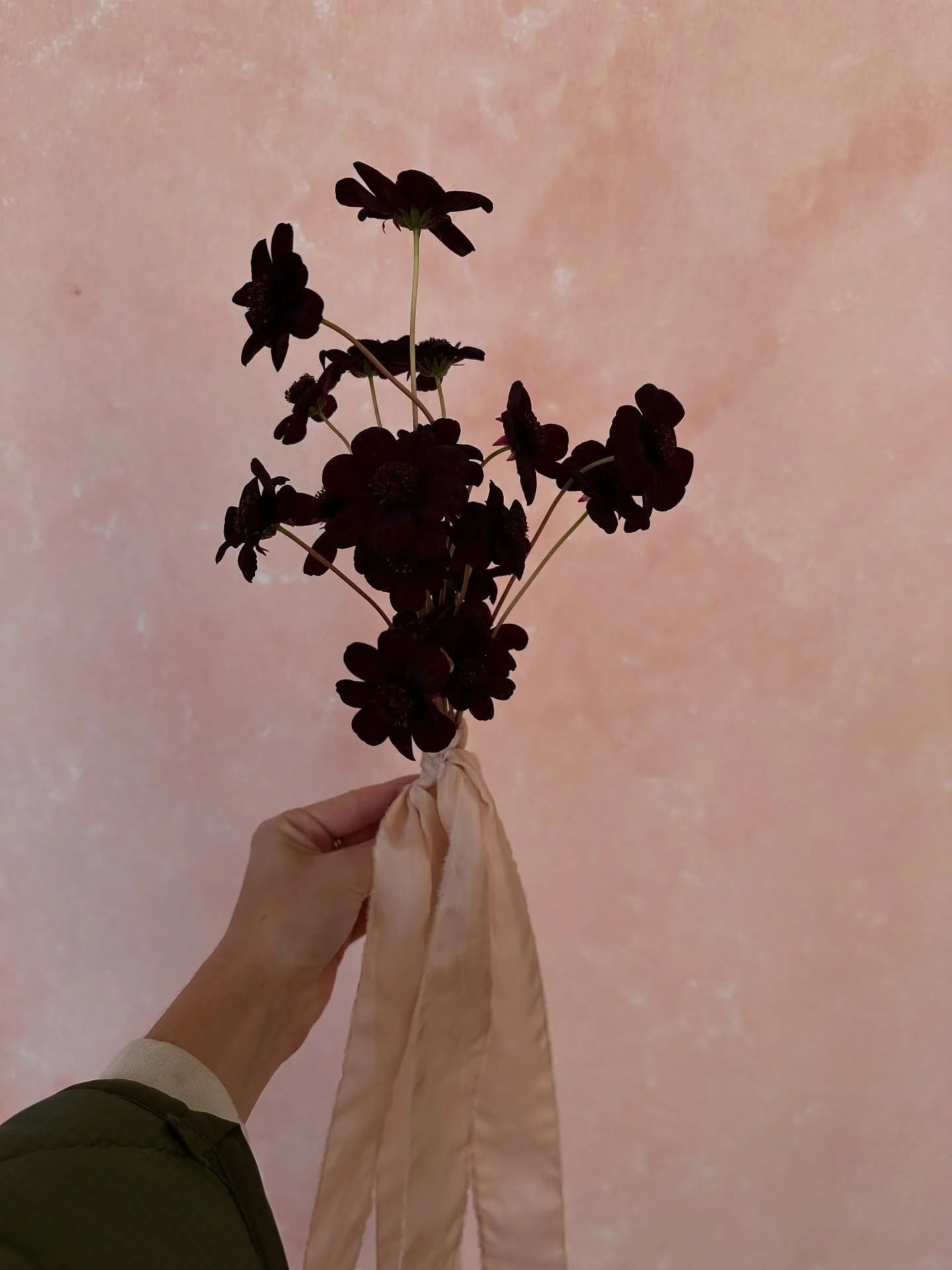 Bouquet check!

Just a few of my bouquets from our season - including my own ✨

So fun to see all the different styles and flowers that were used - as unique as each couple 🫶🏼

#denverflorist #weddingflorist #flowersofinstagram #coloradoflowers #co