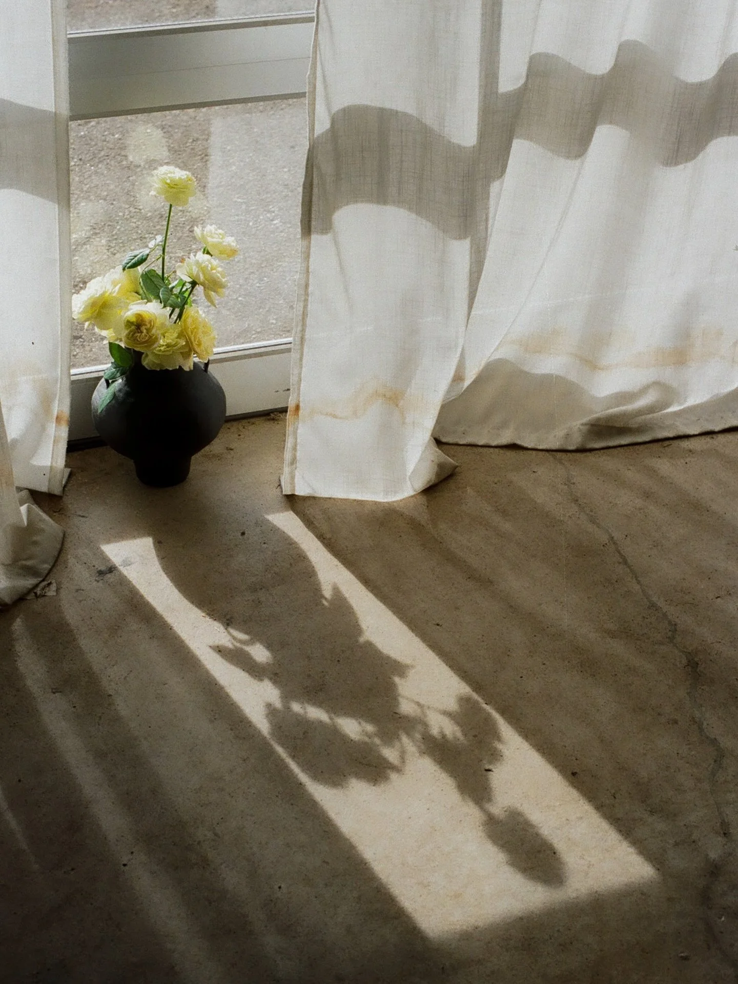 Florists I&rsquo;ve had the pleasure of photographing in the last few months 📷✨ 

1/2 @rbt_florals 
3/4 @roughage_floral 
5/6 @sstudios.design 

An absolute honor to photograph the work and capture portraits of my fellow floral artists 🫶🏼 for bran